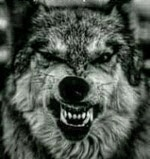user avatar image for Varghar