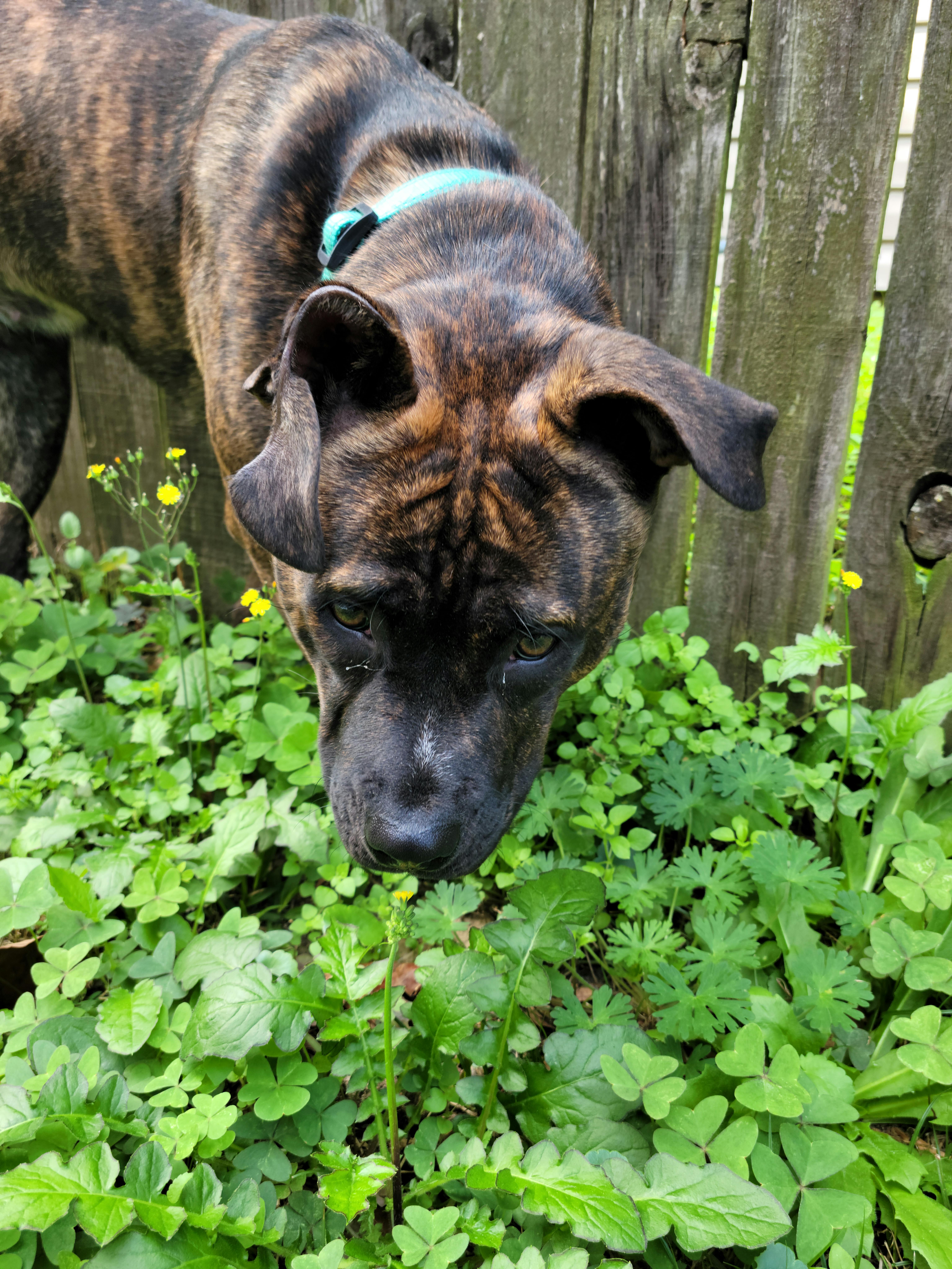 user avatar image for Tori Weaver