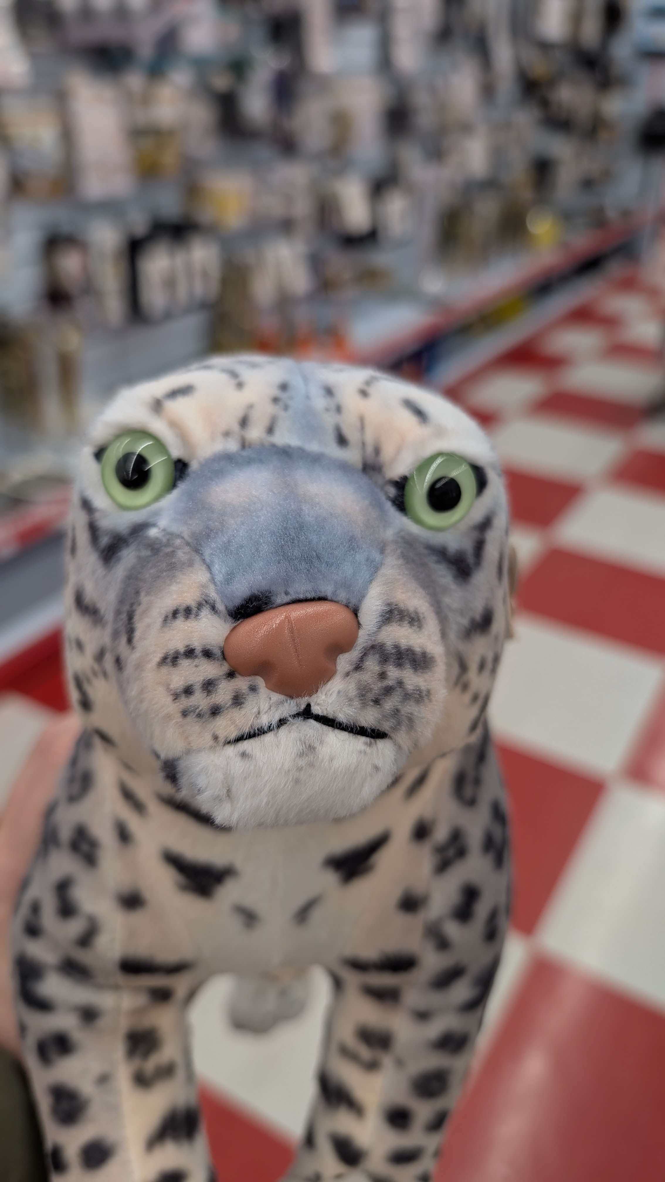 user avatar image for Gerald Cormier 