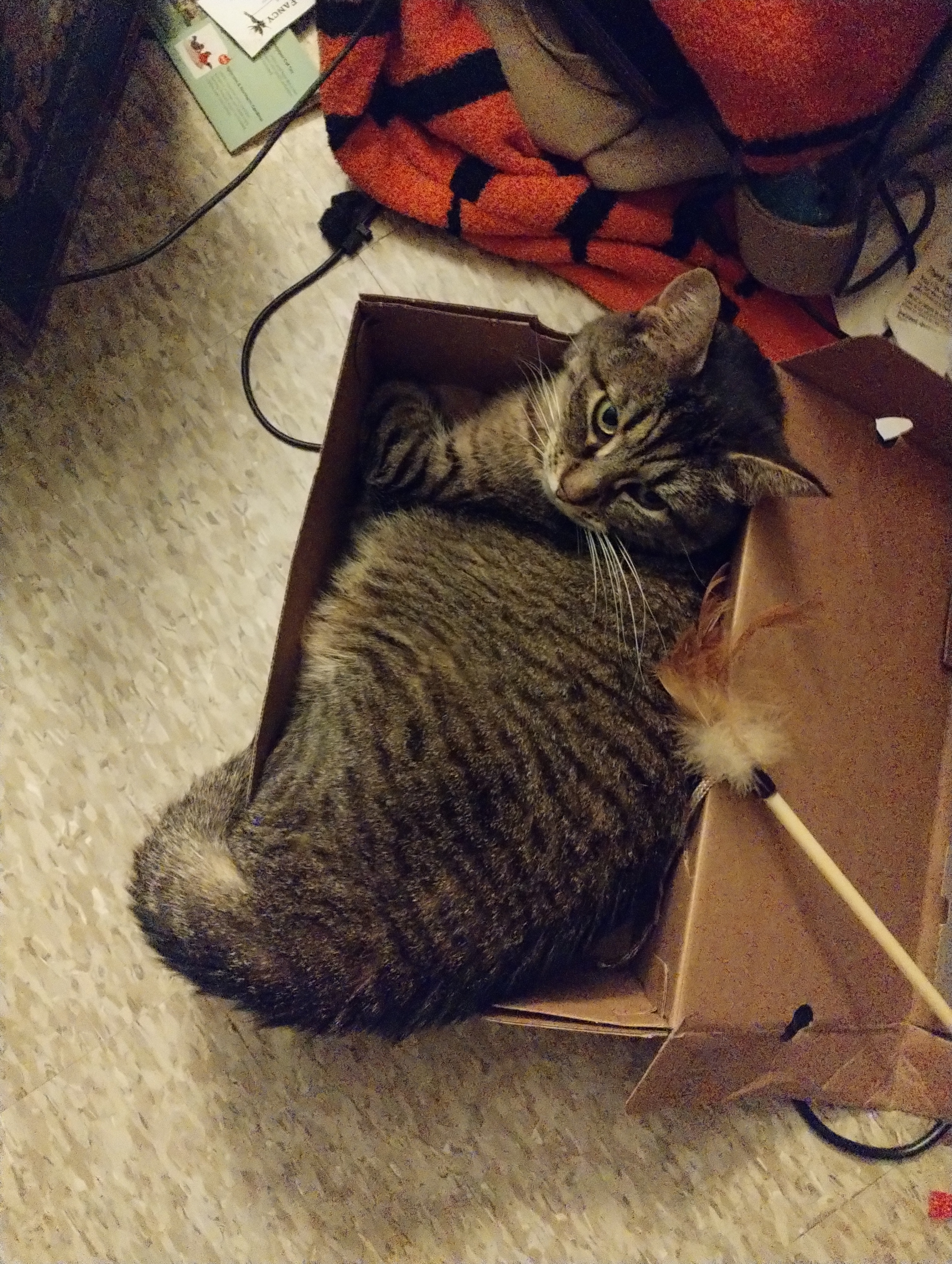 user avatar image for Meowthy