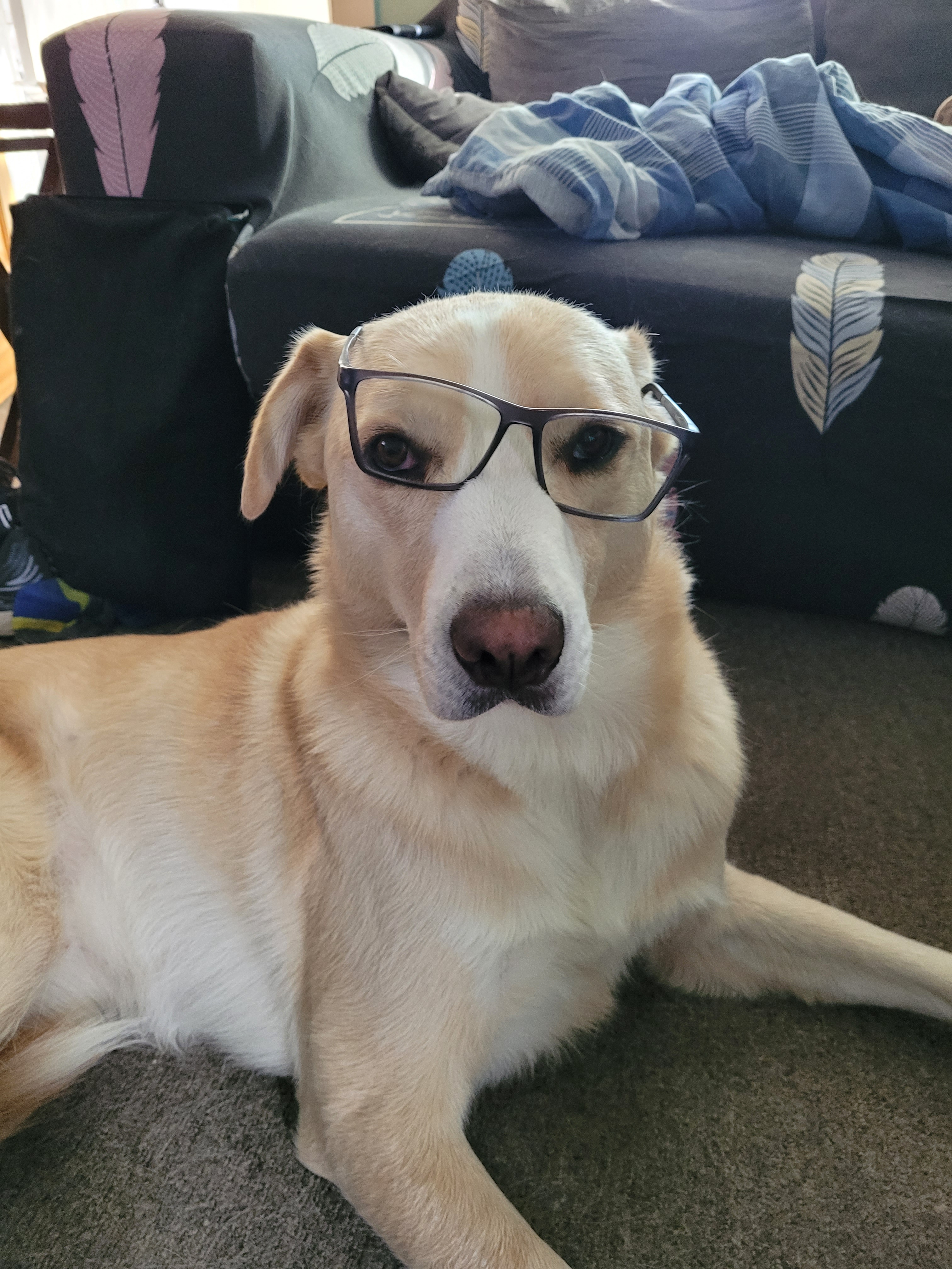 user avatar image for Marc Storey