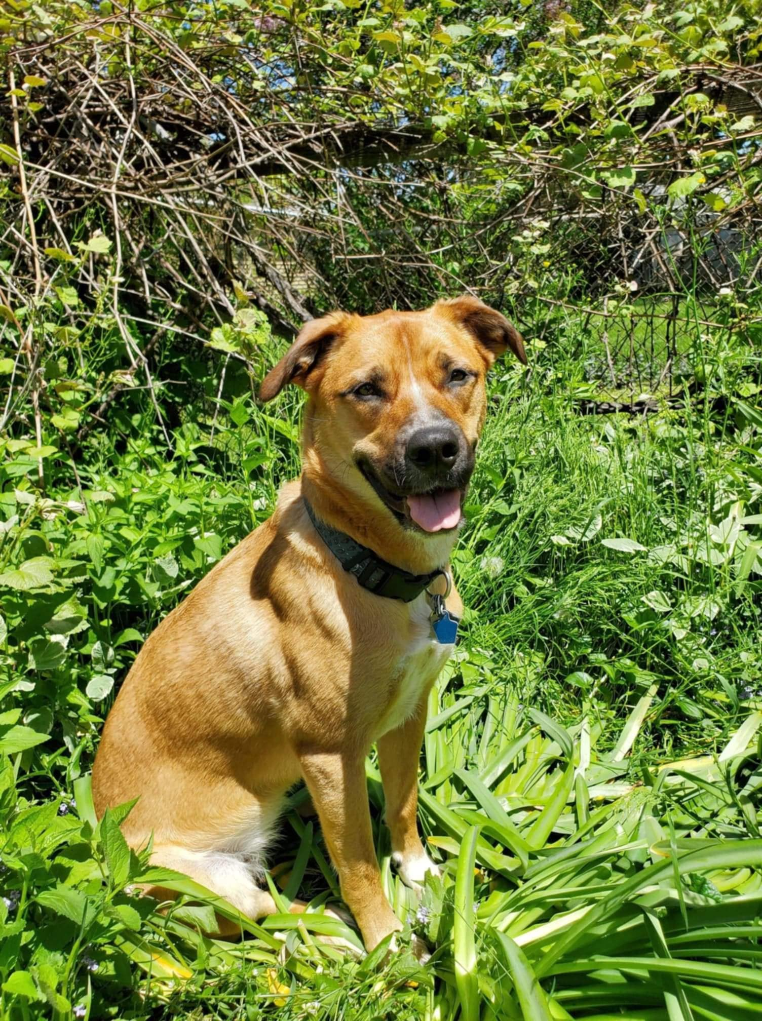 user avatar image for Blind1