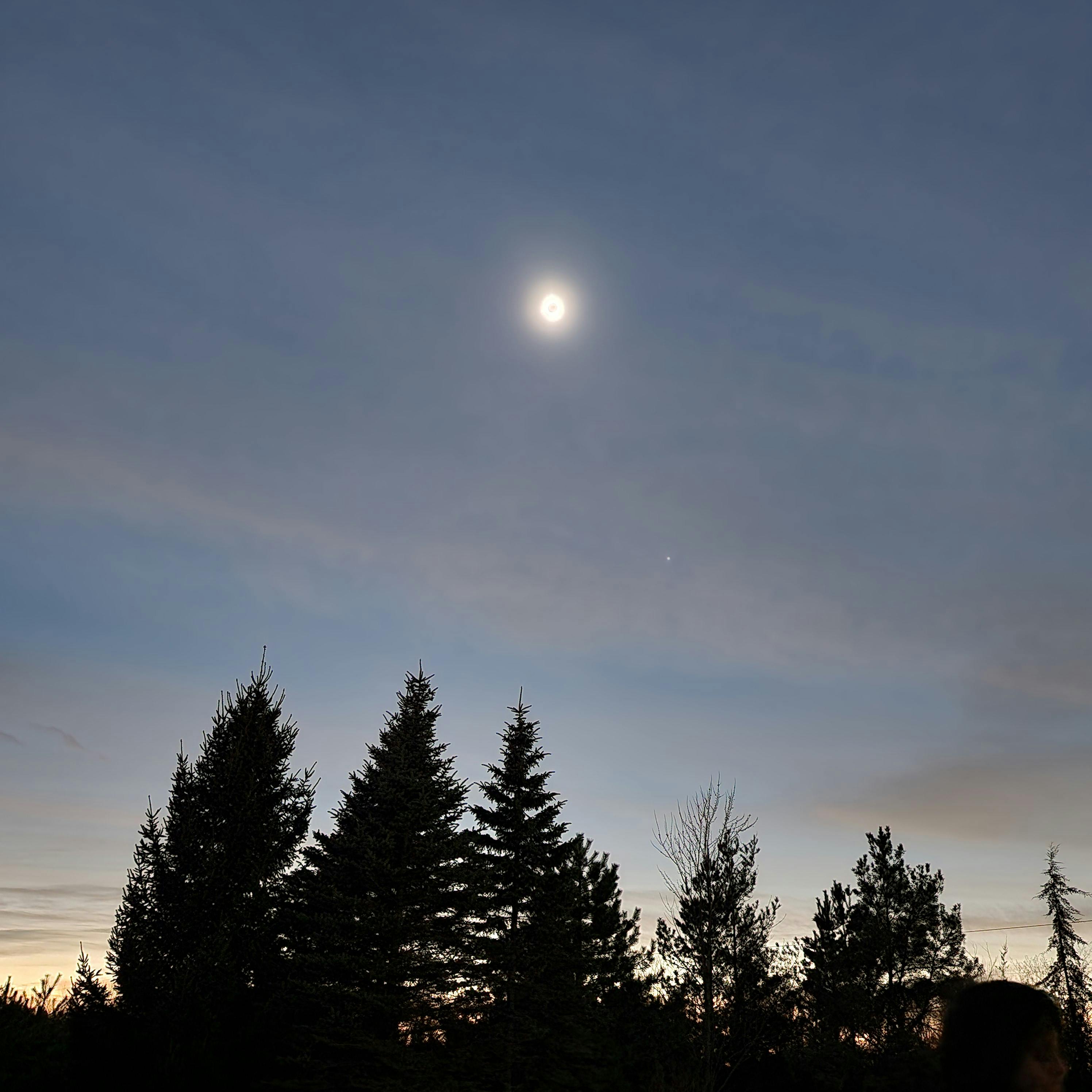 user avatar image for Adam