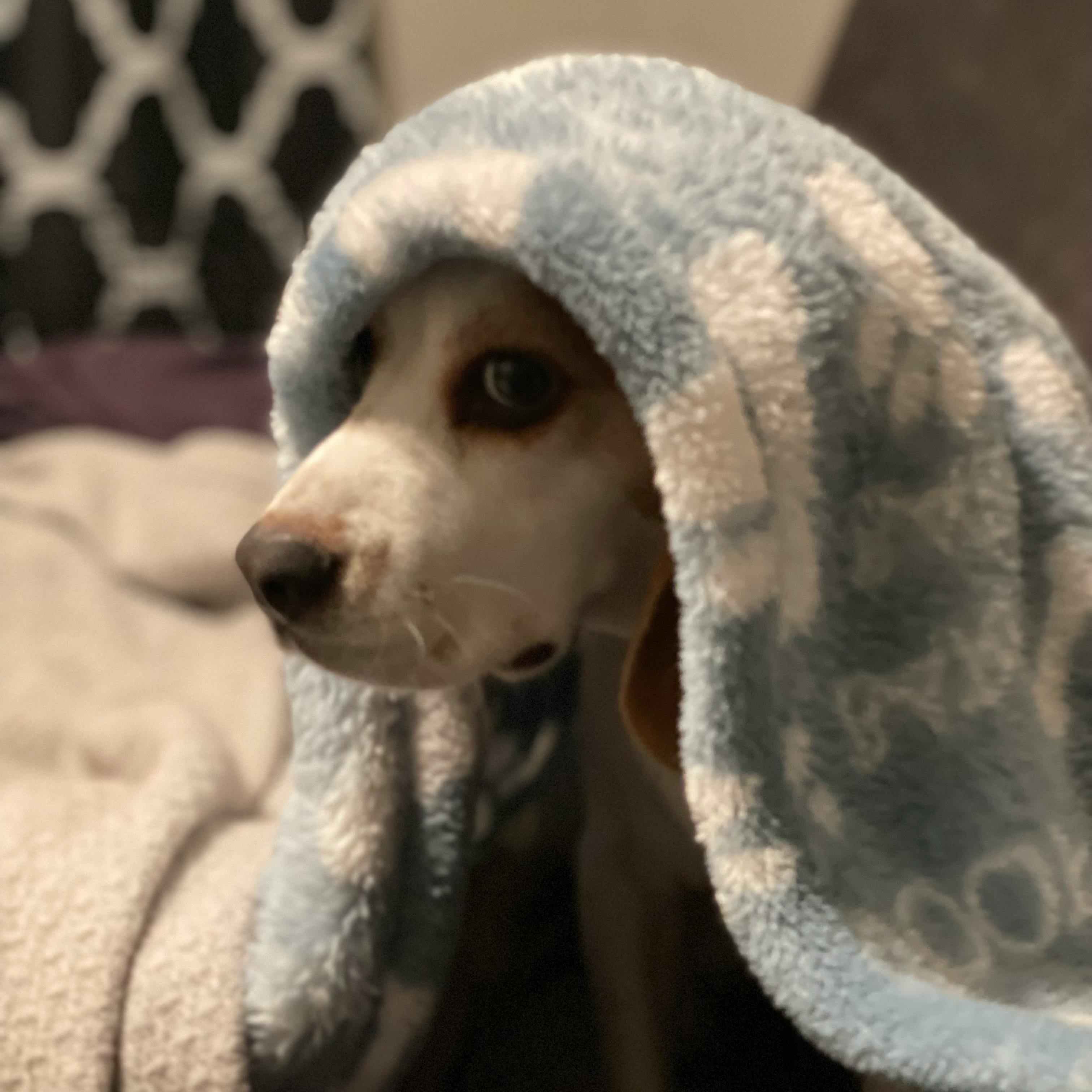 user avatar image for Nicole