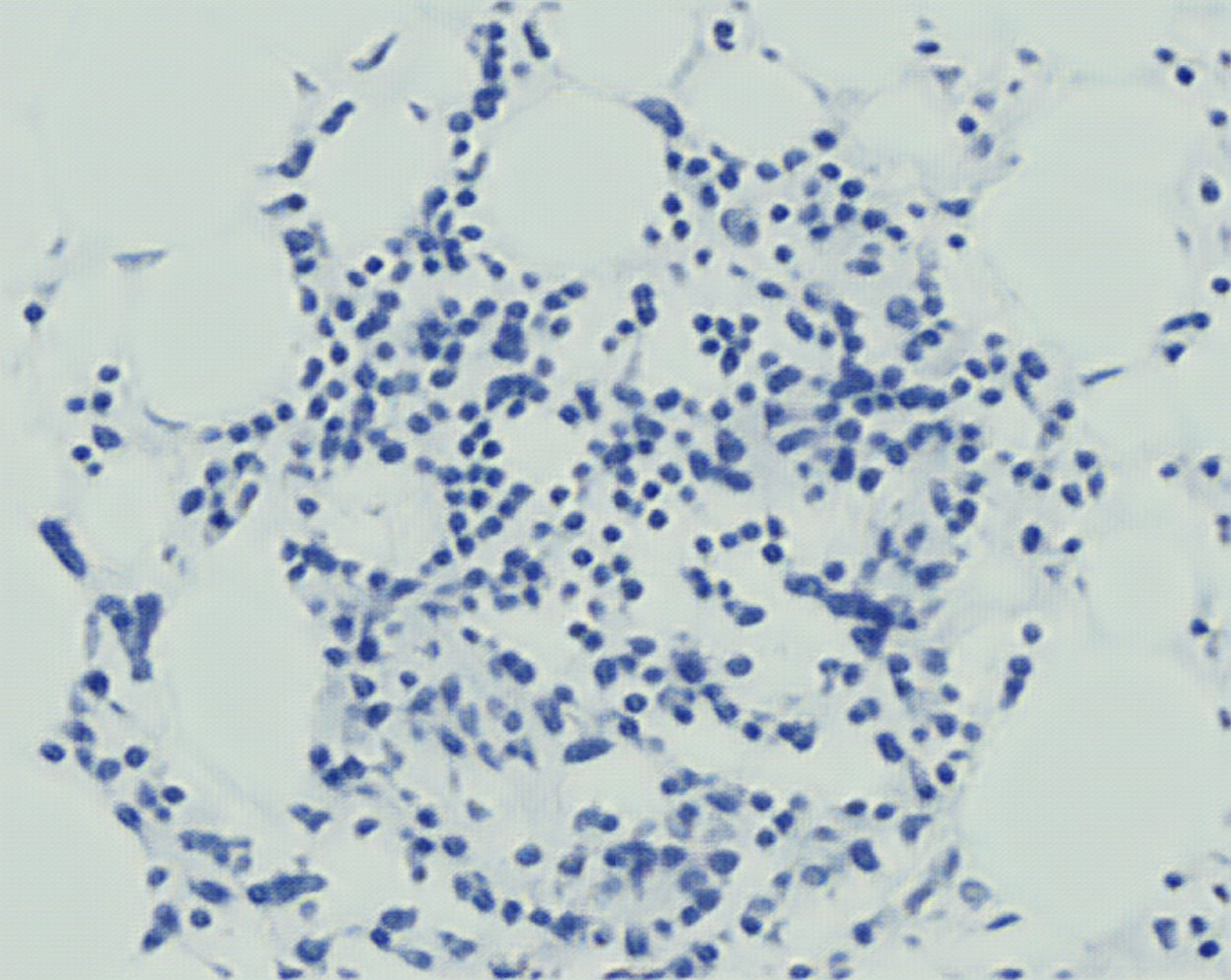 user avatar image for Ricardo Dodds