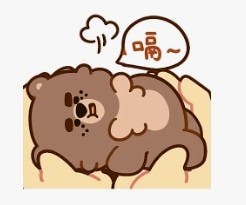 user avatar image for Surprised Bear