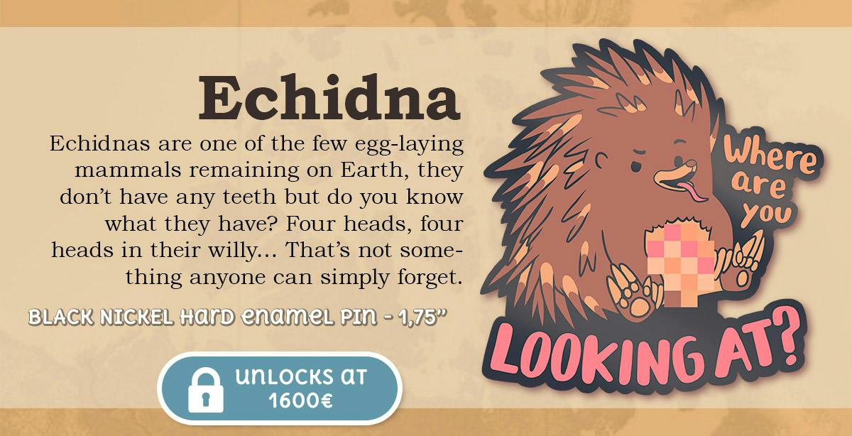 Stretch Goal 1 - Echidna!