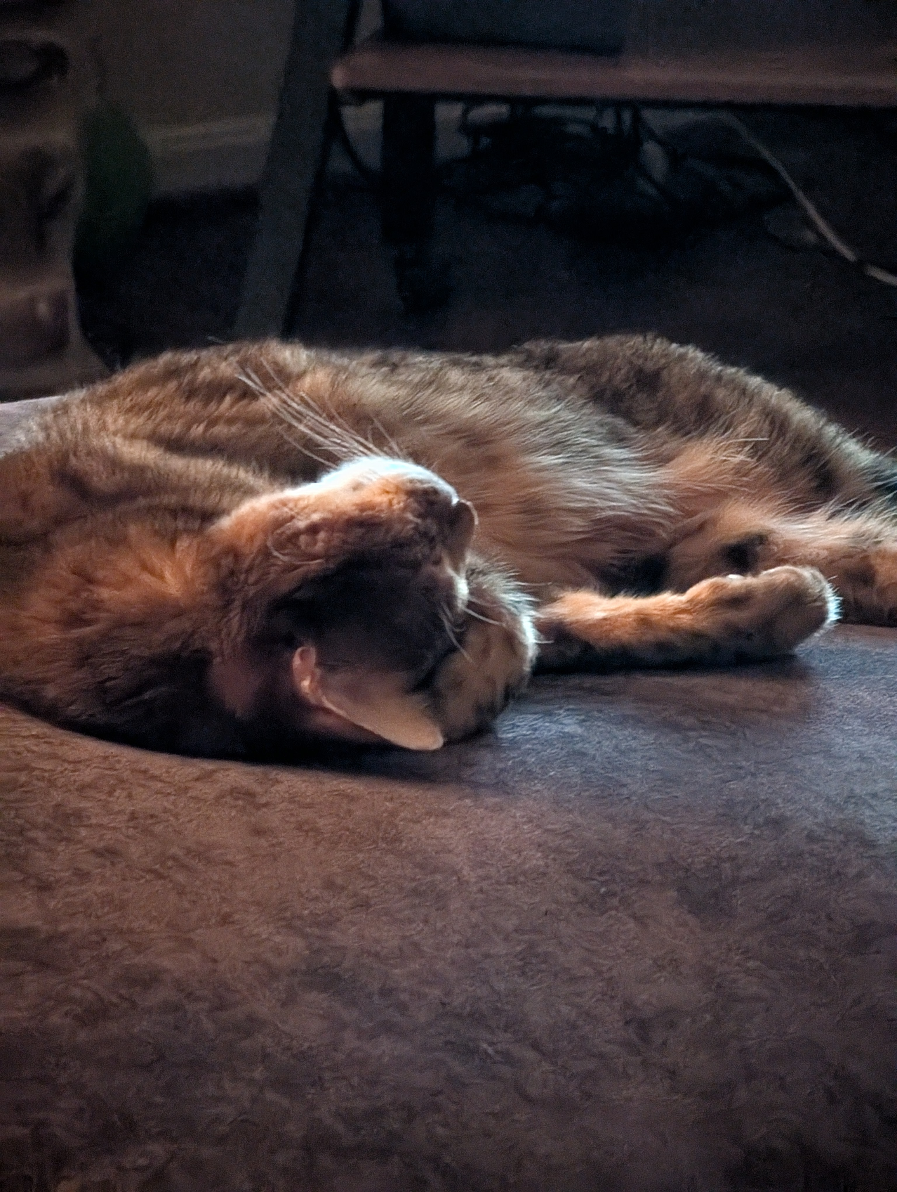 user avatar image for Ryan