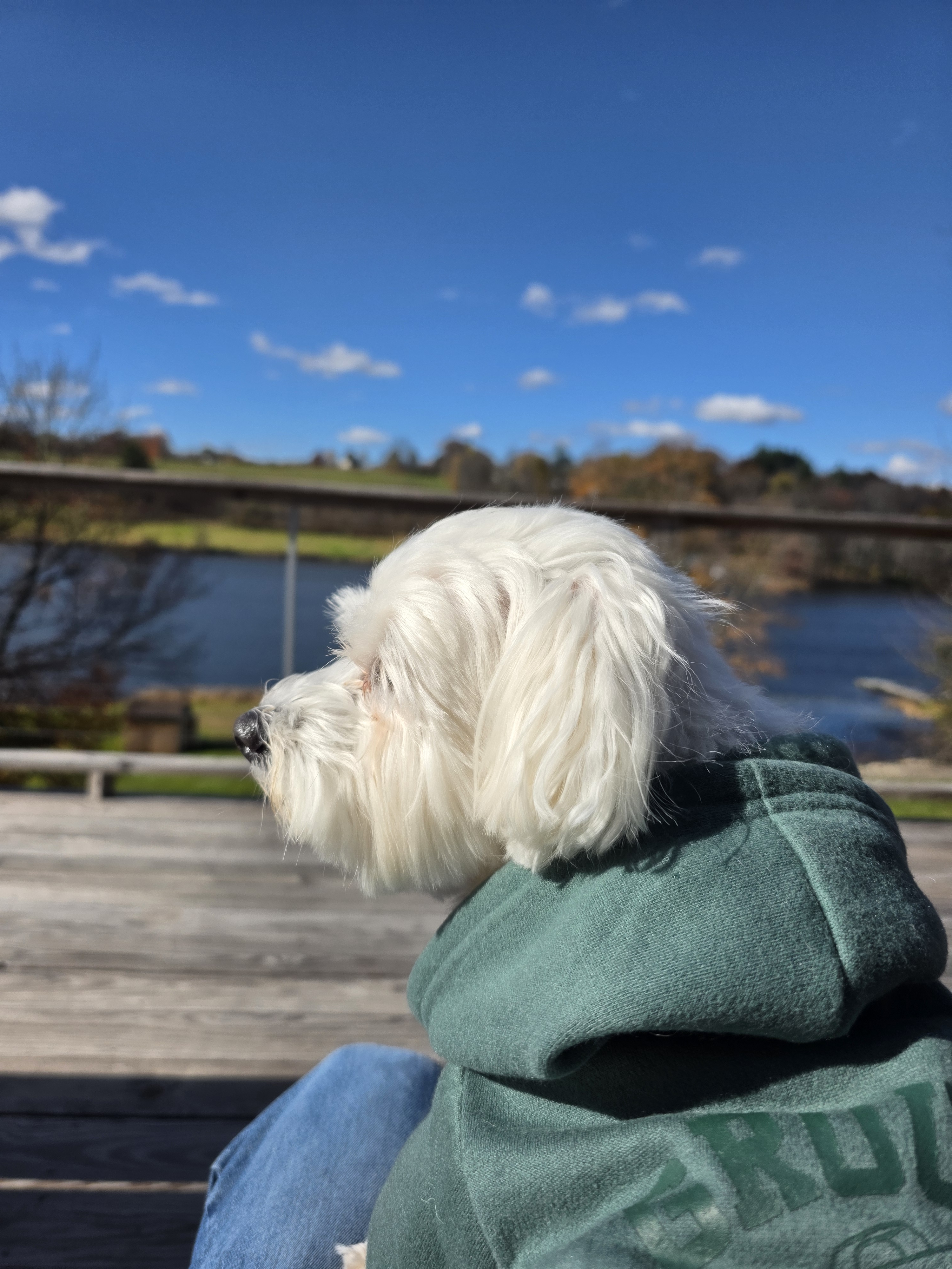 user avatar image for Jeff Butcher