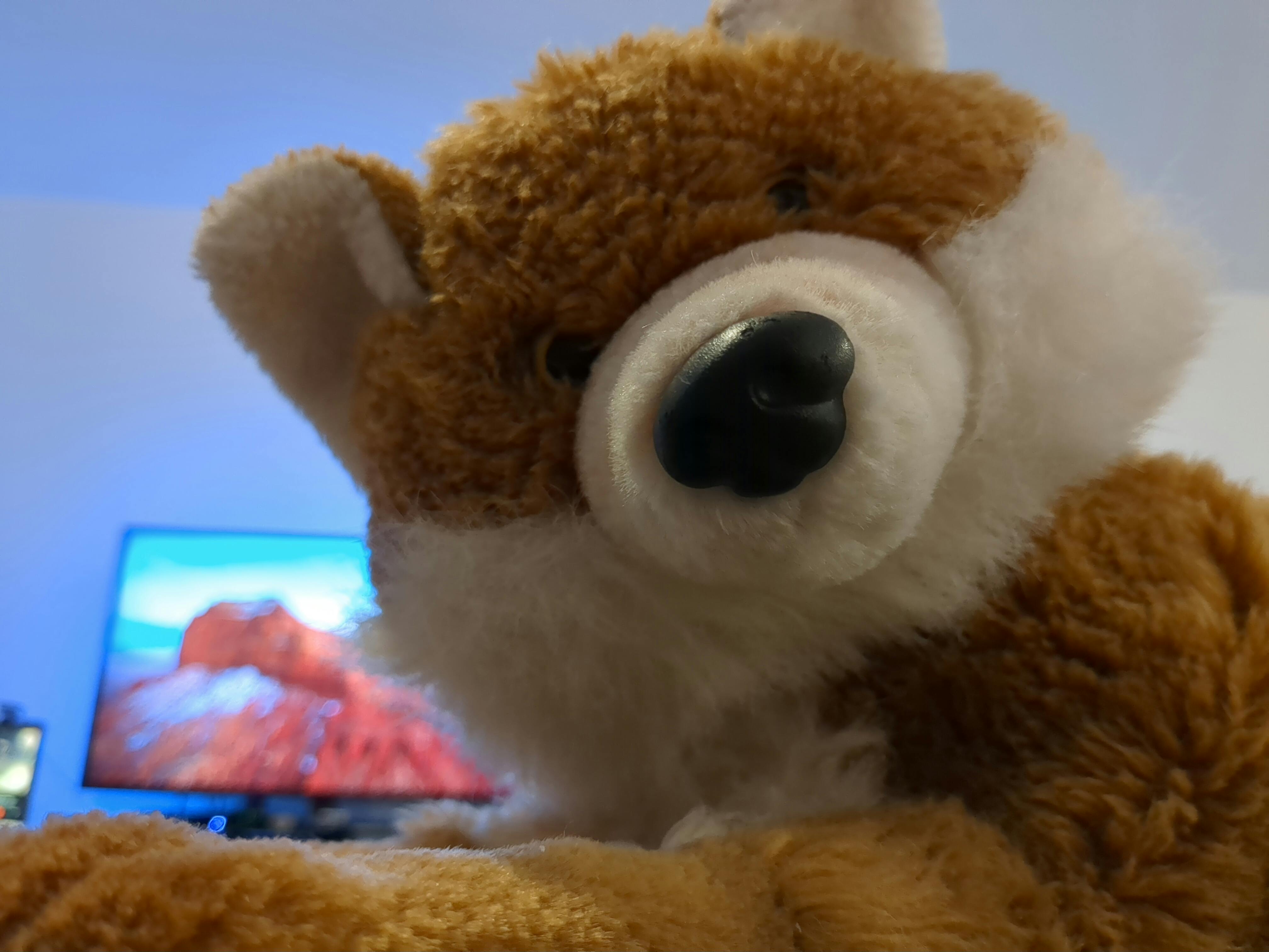 user avatar image for VulpineNoisyBoi