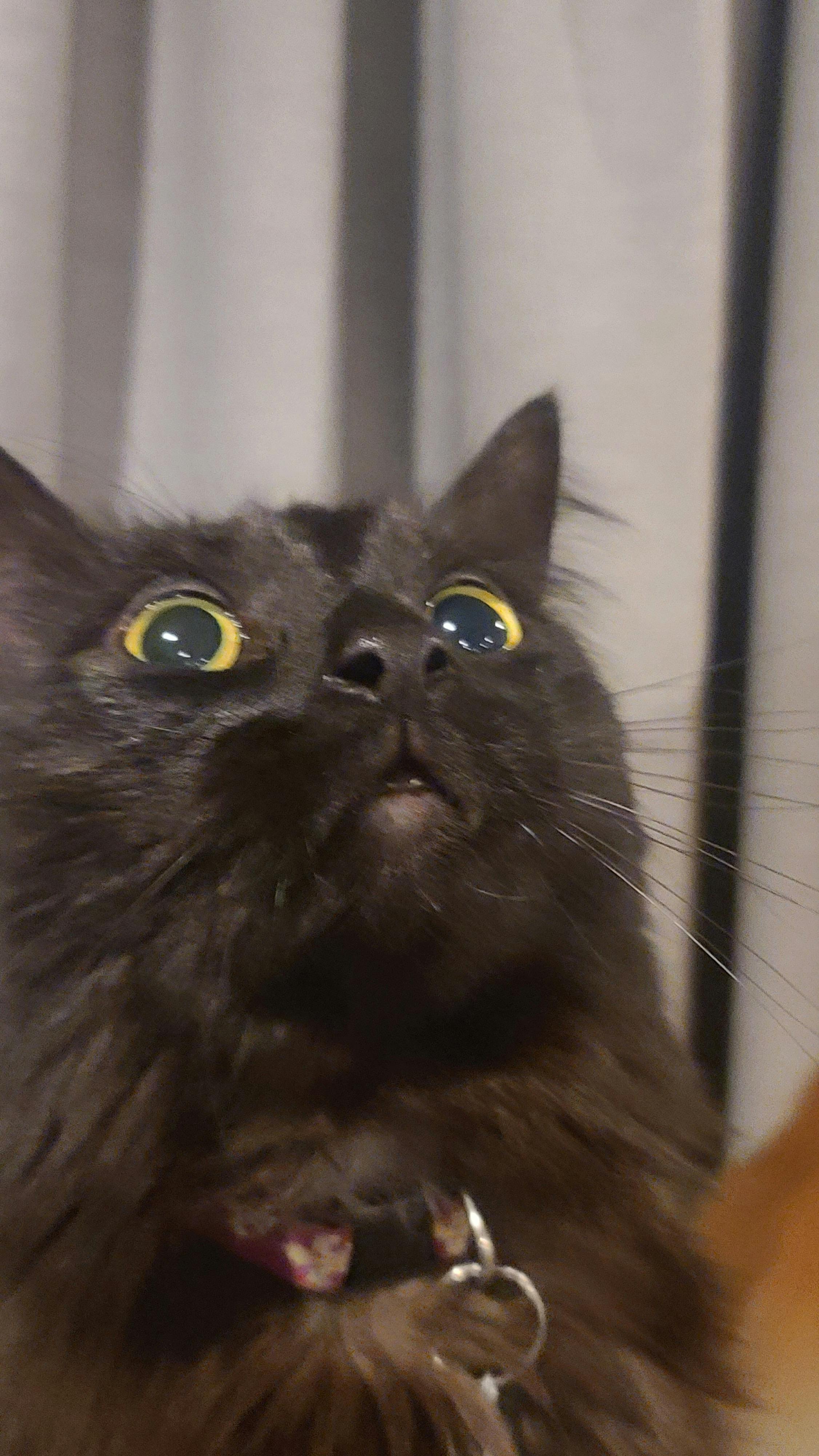 user avatar image for Jaymz