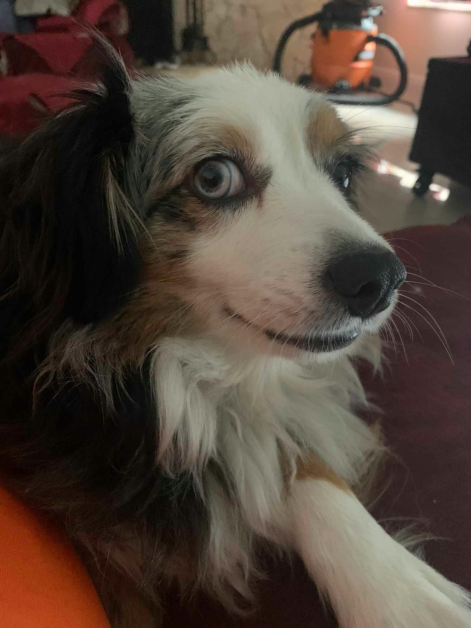 user avatar image for AnabarRaven