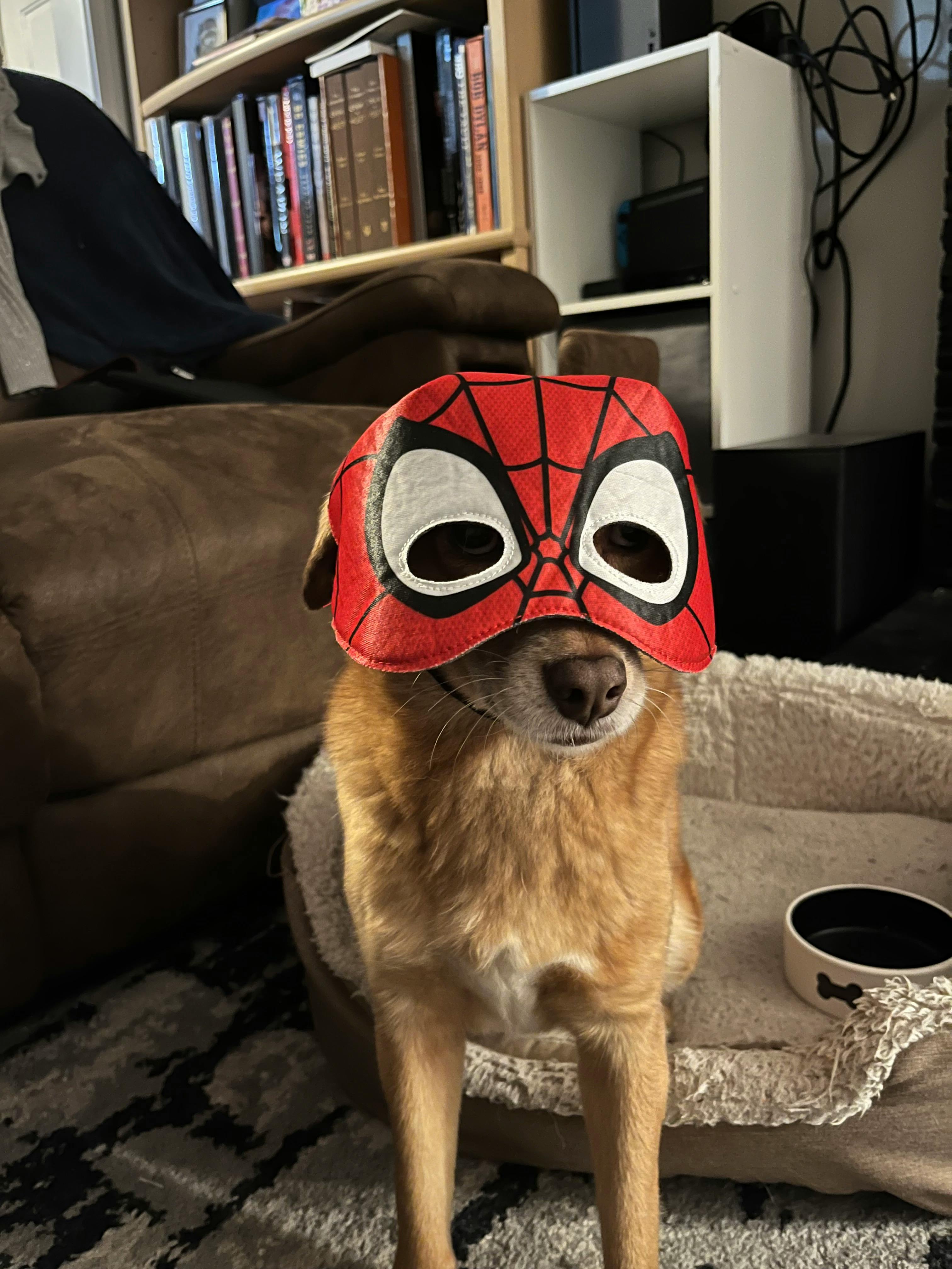 user avatar image for Benjamin Diggles