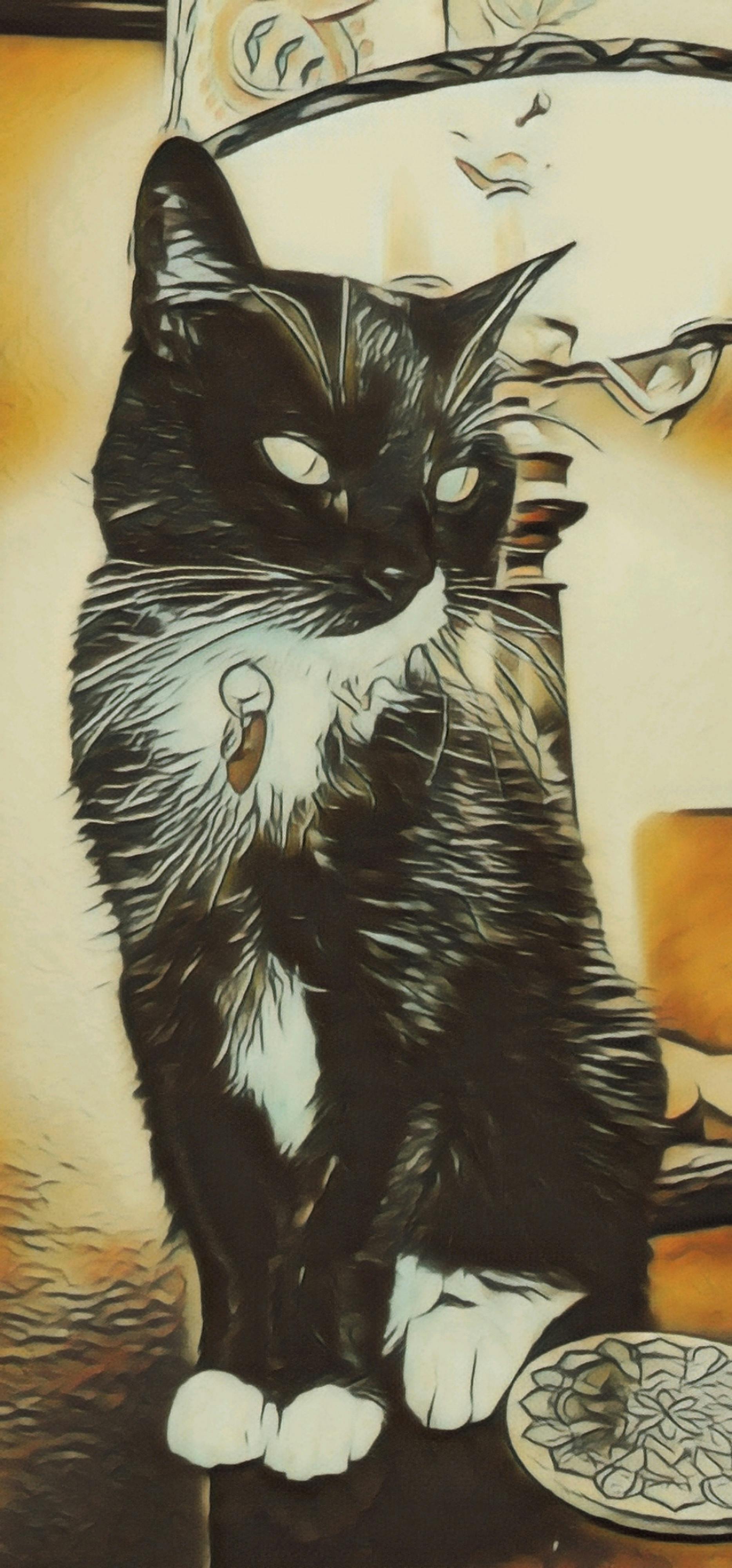 user avatar image for TheGrandPickle