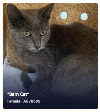 user avatar image for Michael Morrow