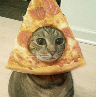 user avatar image for Skanah