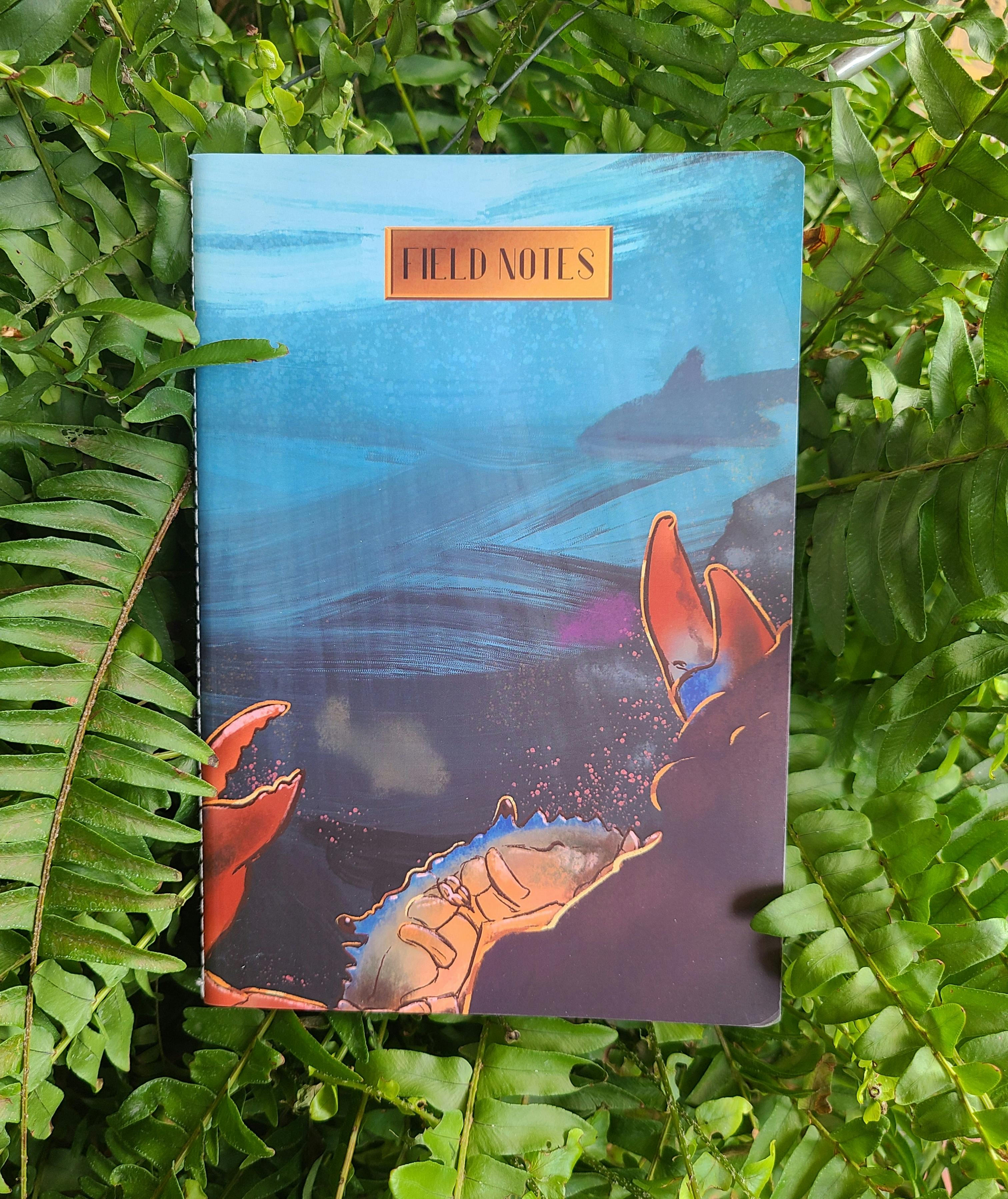 Crab notebook