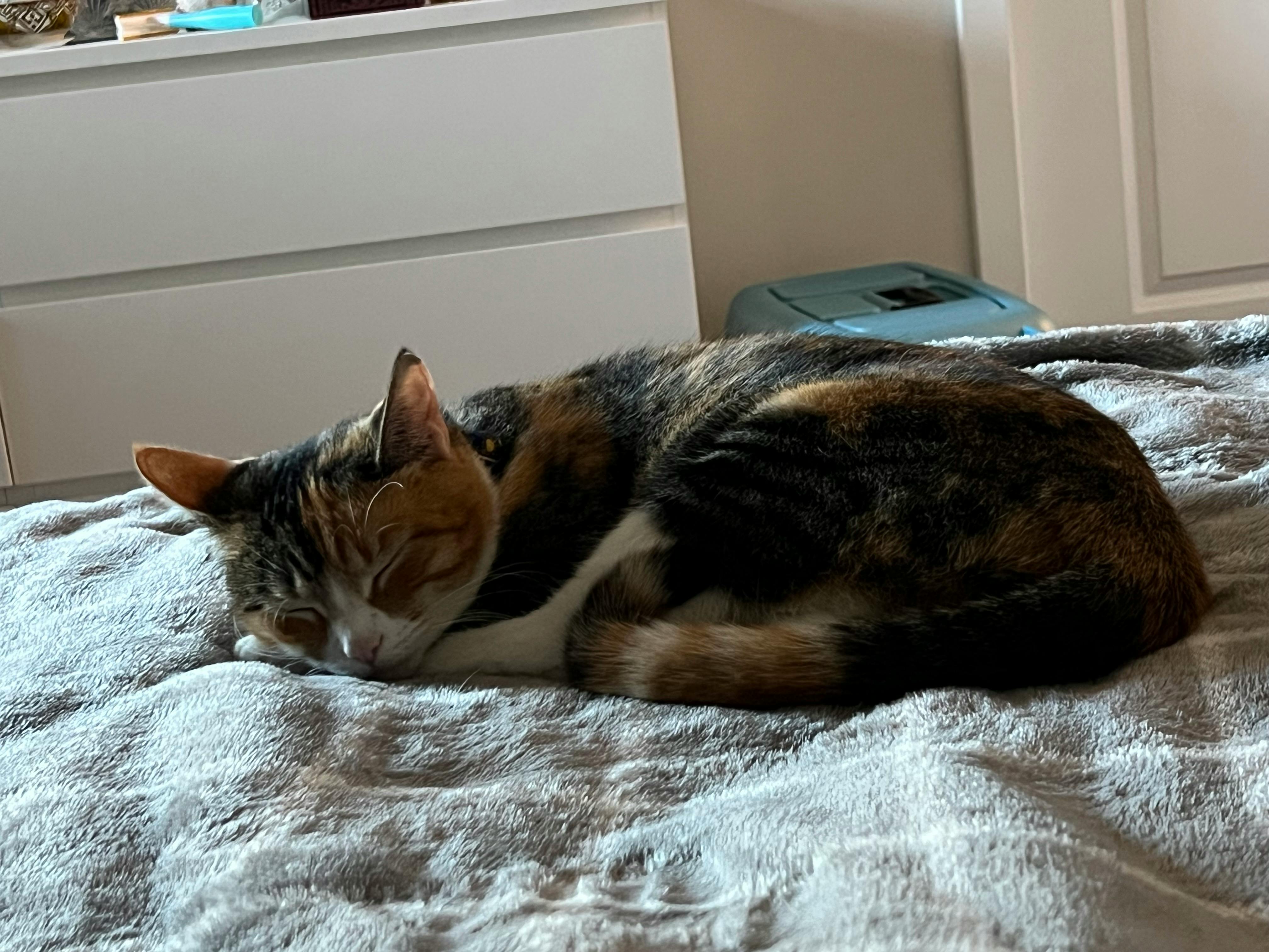 user avatar image for Jace