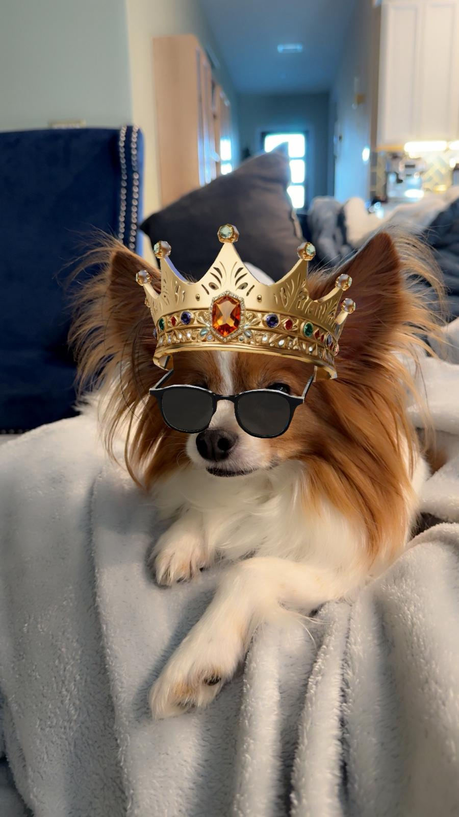 user avatar image for Ryan Obremski