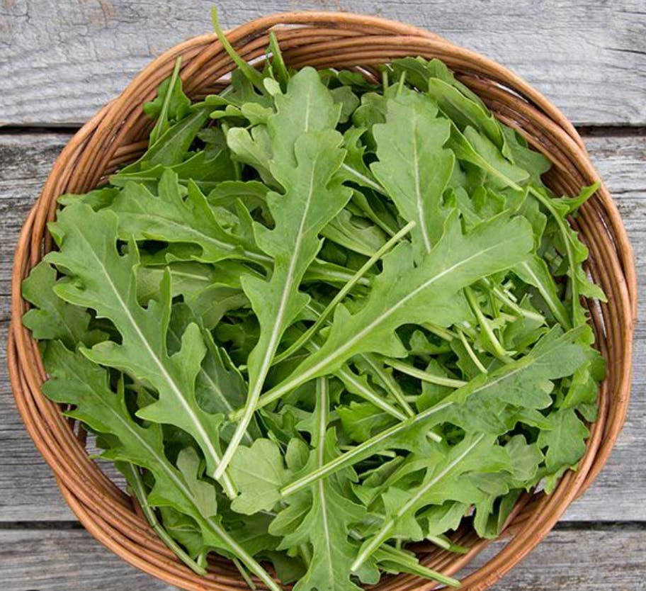 user avatar image for RocketLettuce