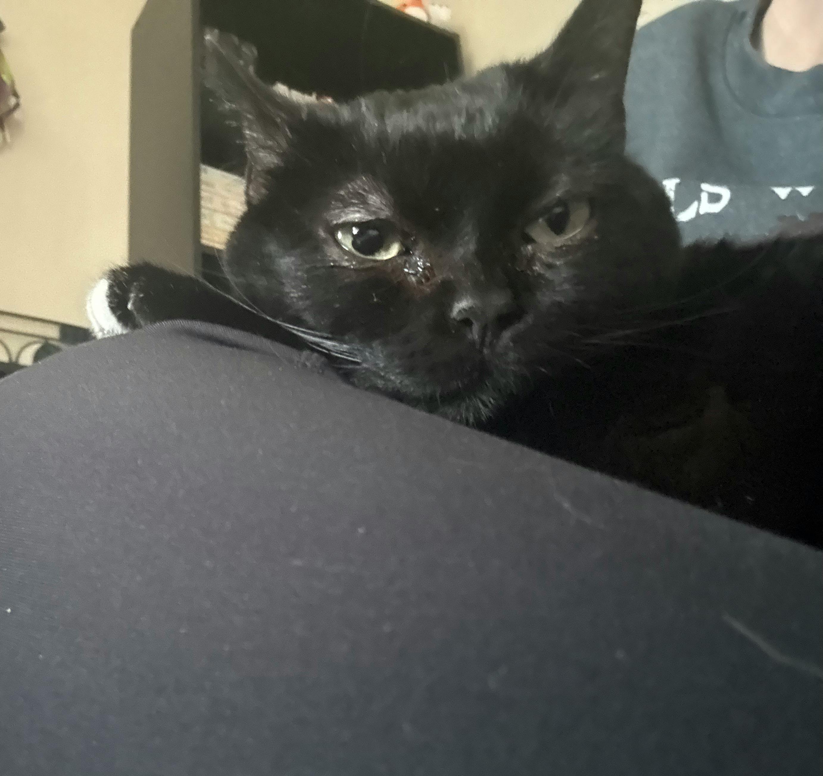 user avatar image for Bailey