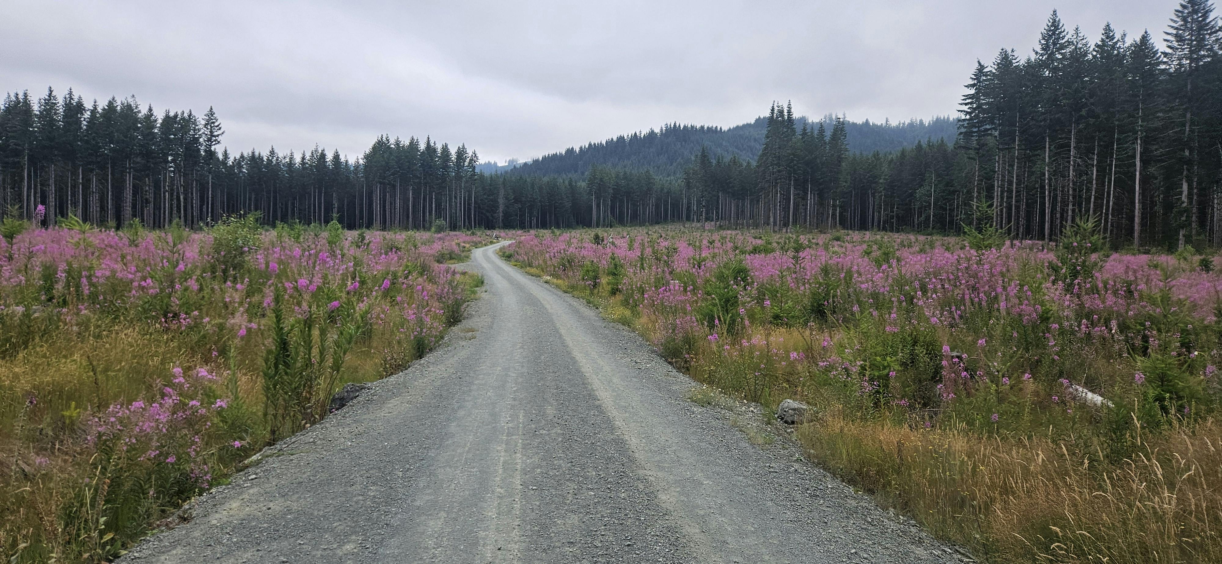 user avatar image for Ian McCarty