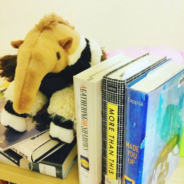 user avatar image for Hayley