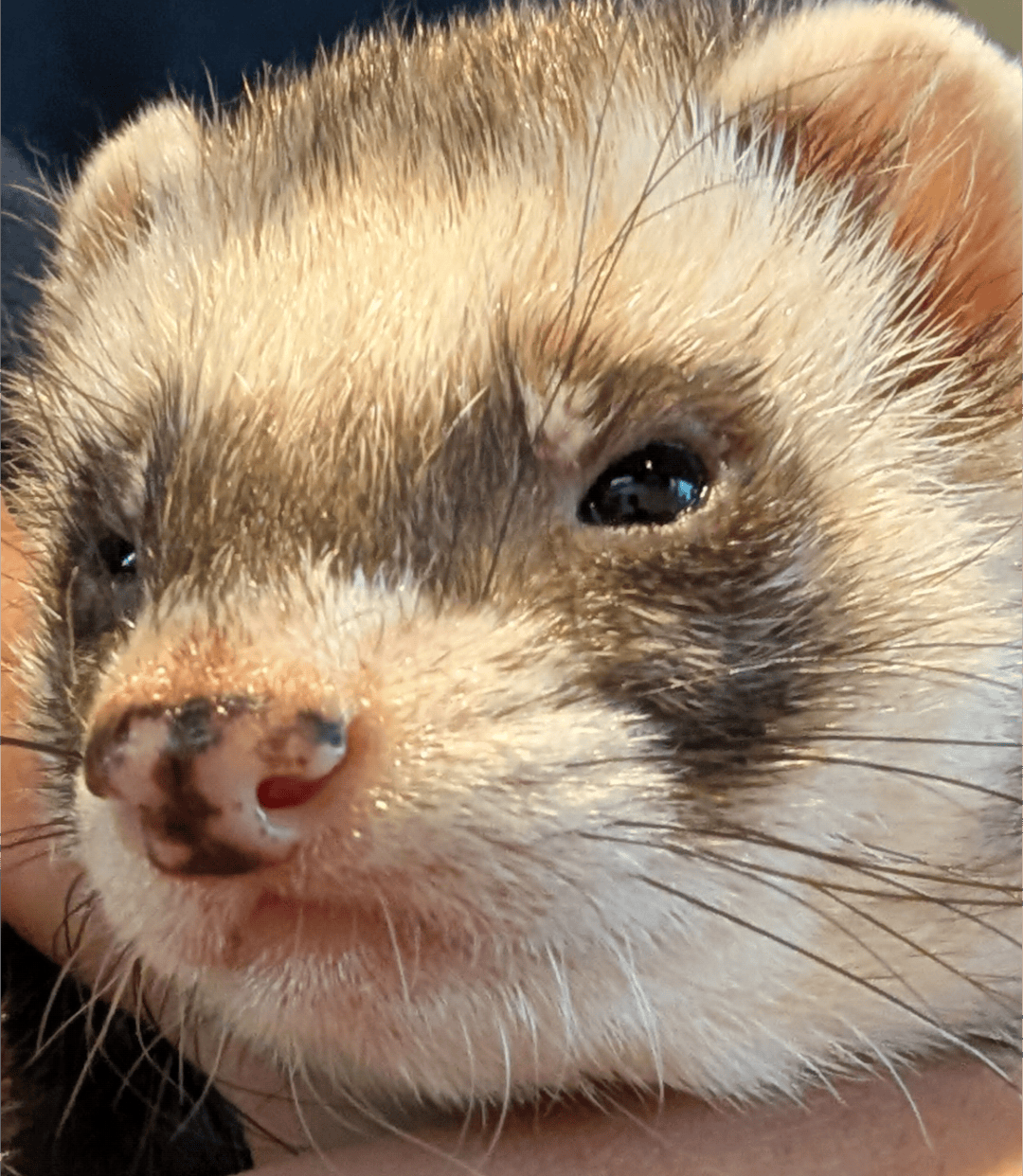 user avatar image for Roxas 