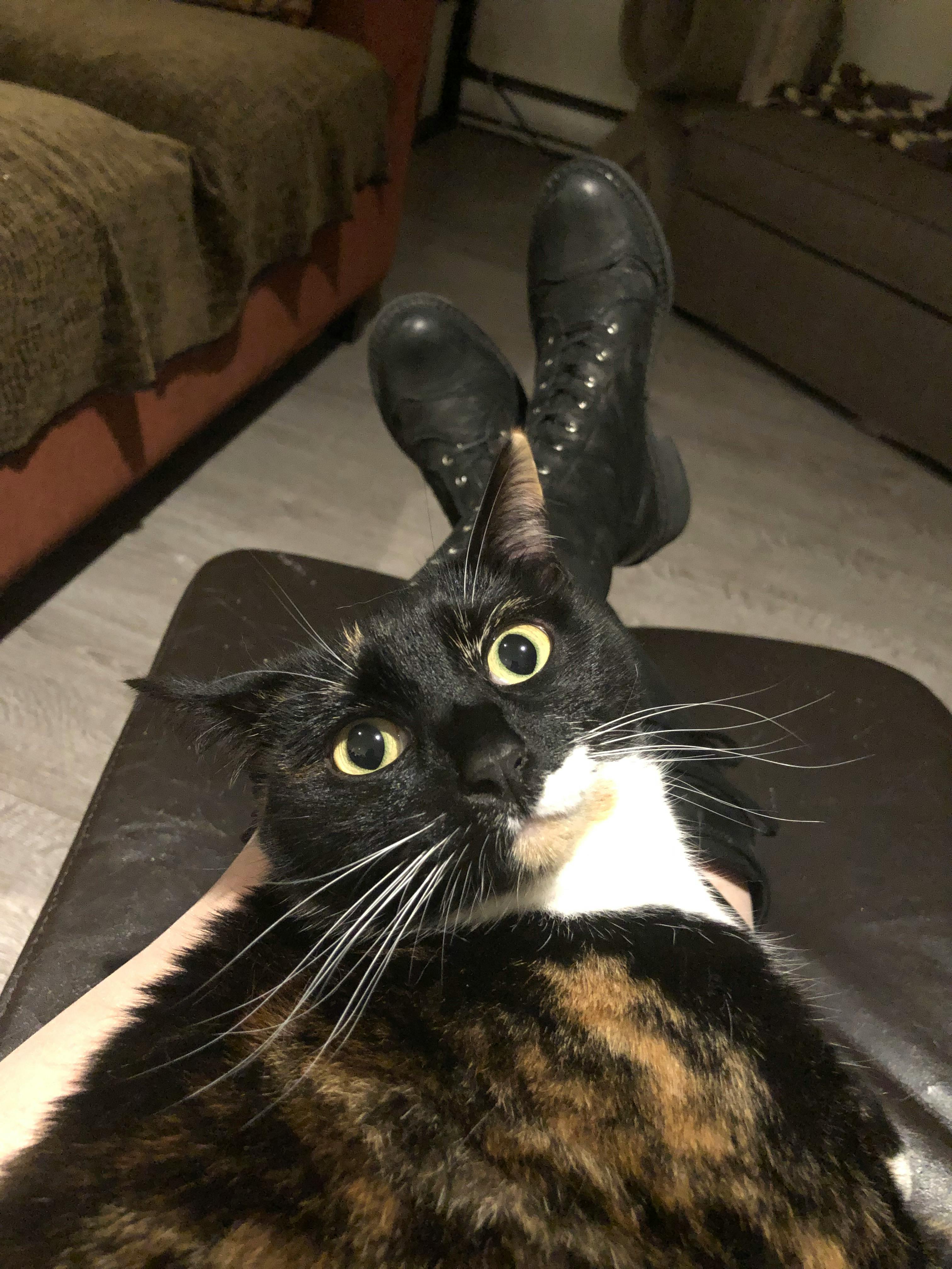 user avatar image for Penny