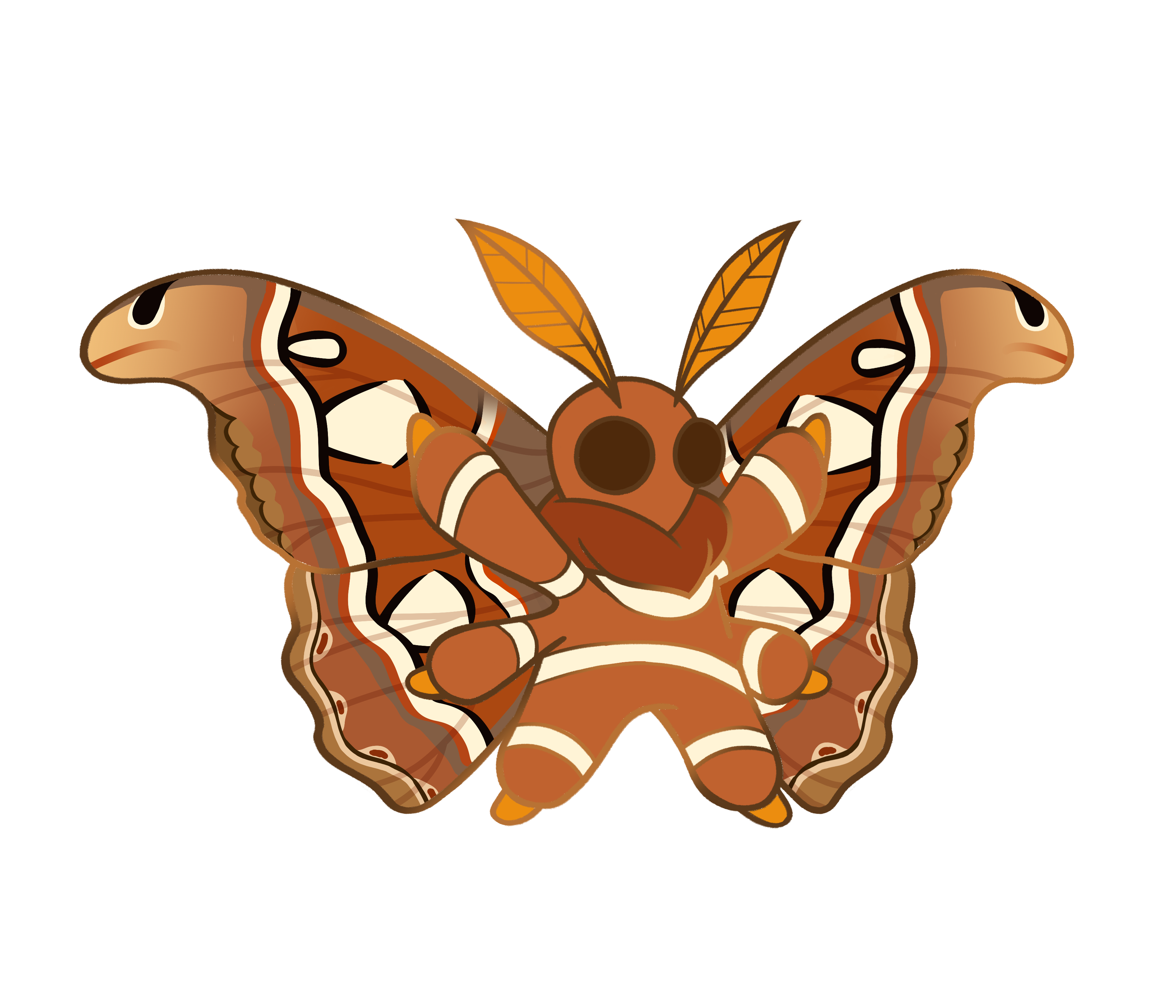 Atlas Moth