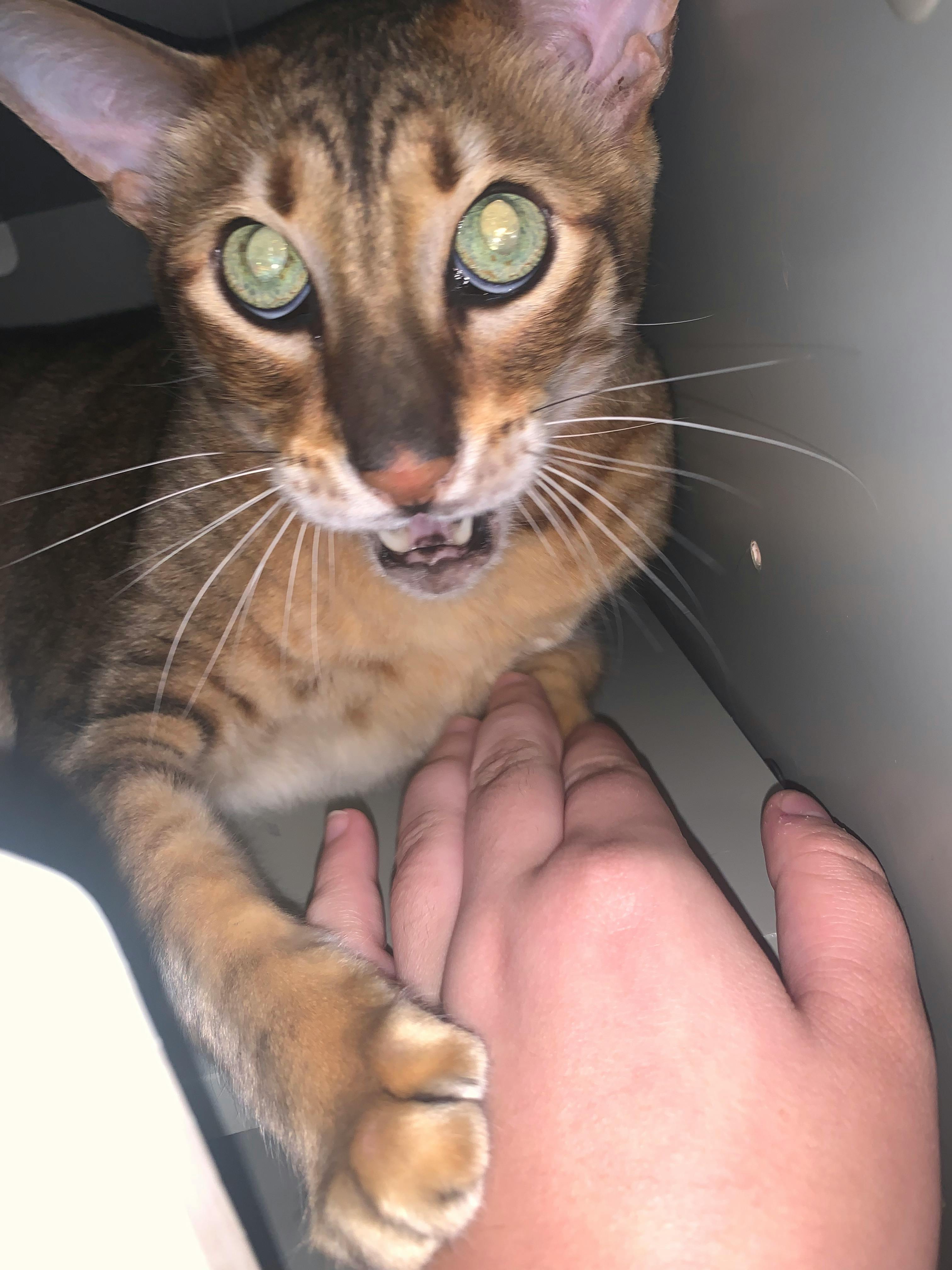 user avatar image for Gray Peterson