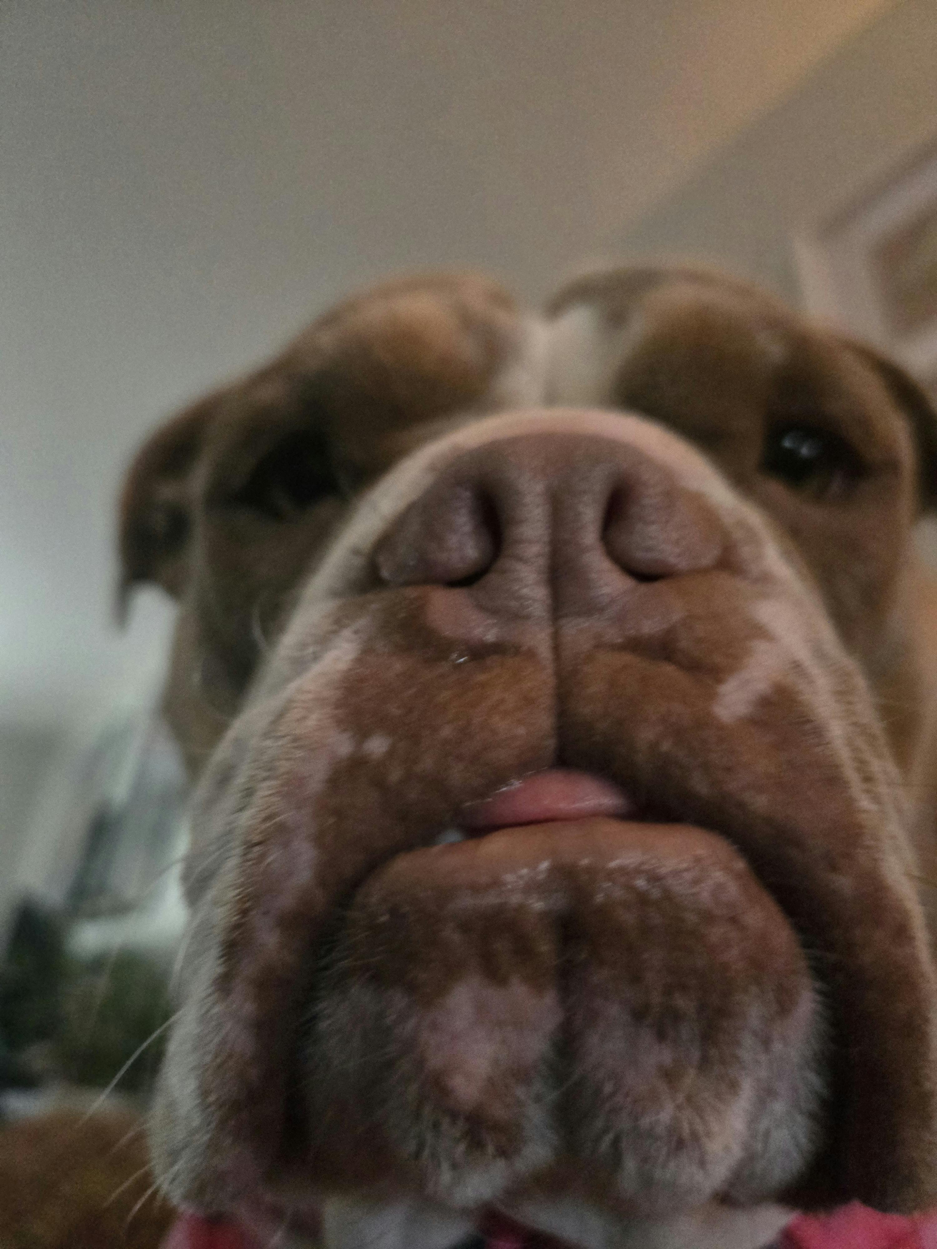 user avatar image for Conner