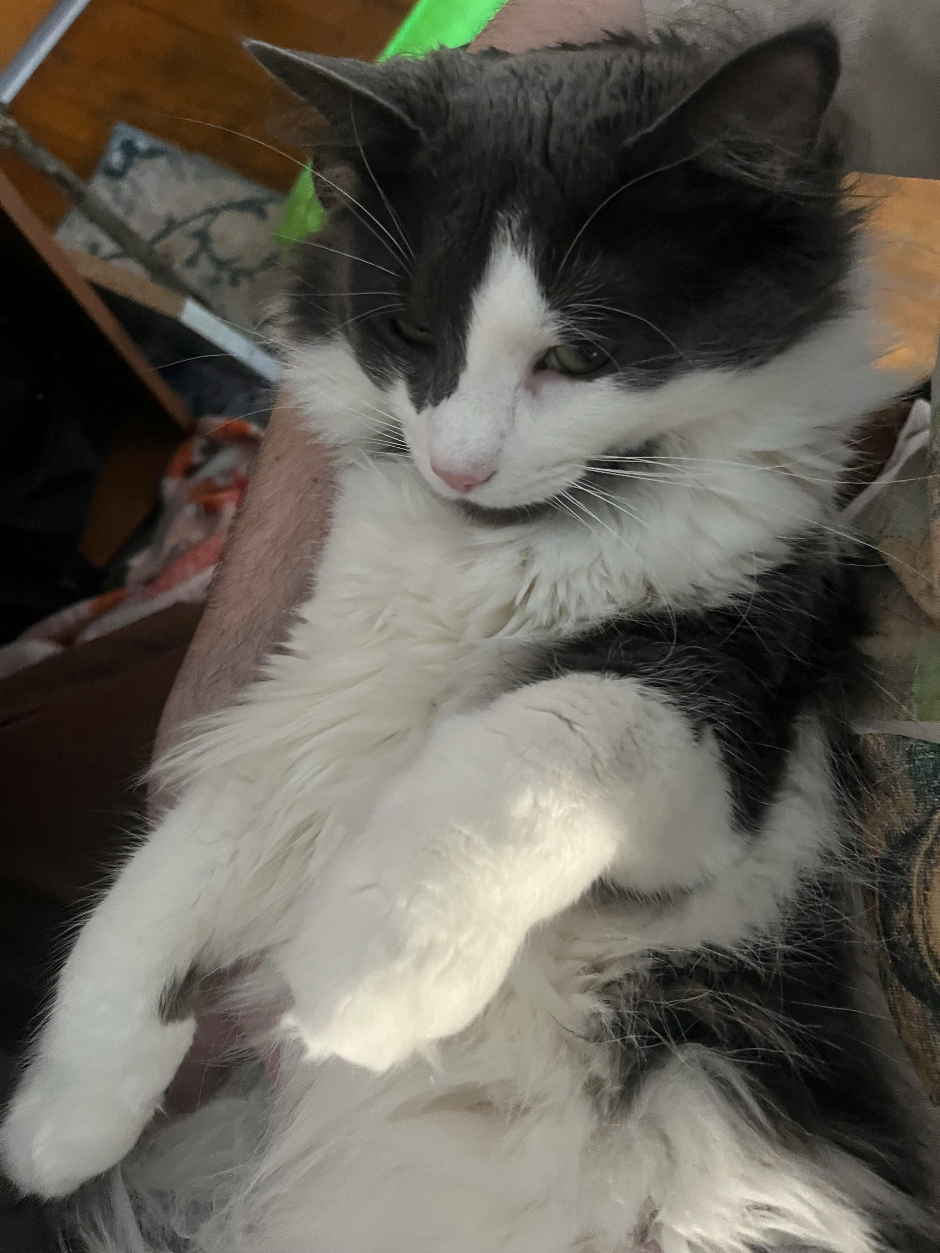 user avatar image for Elijah Quinn