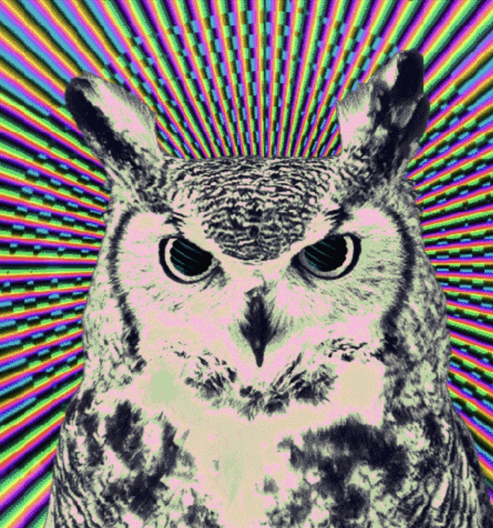 user avatar image for nox.noctua86