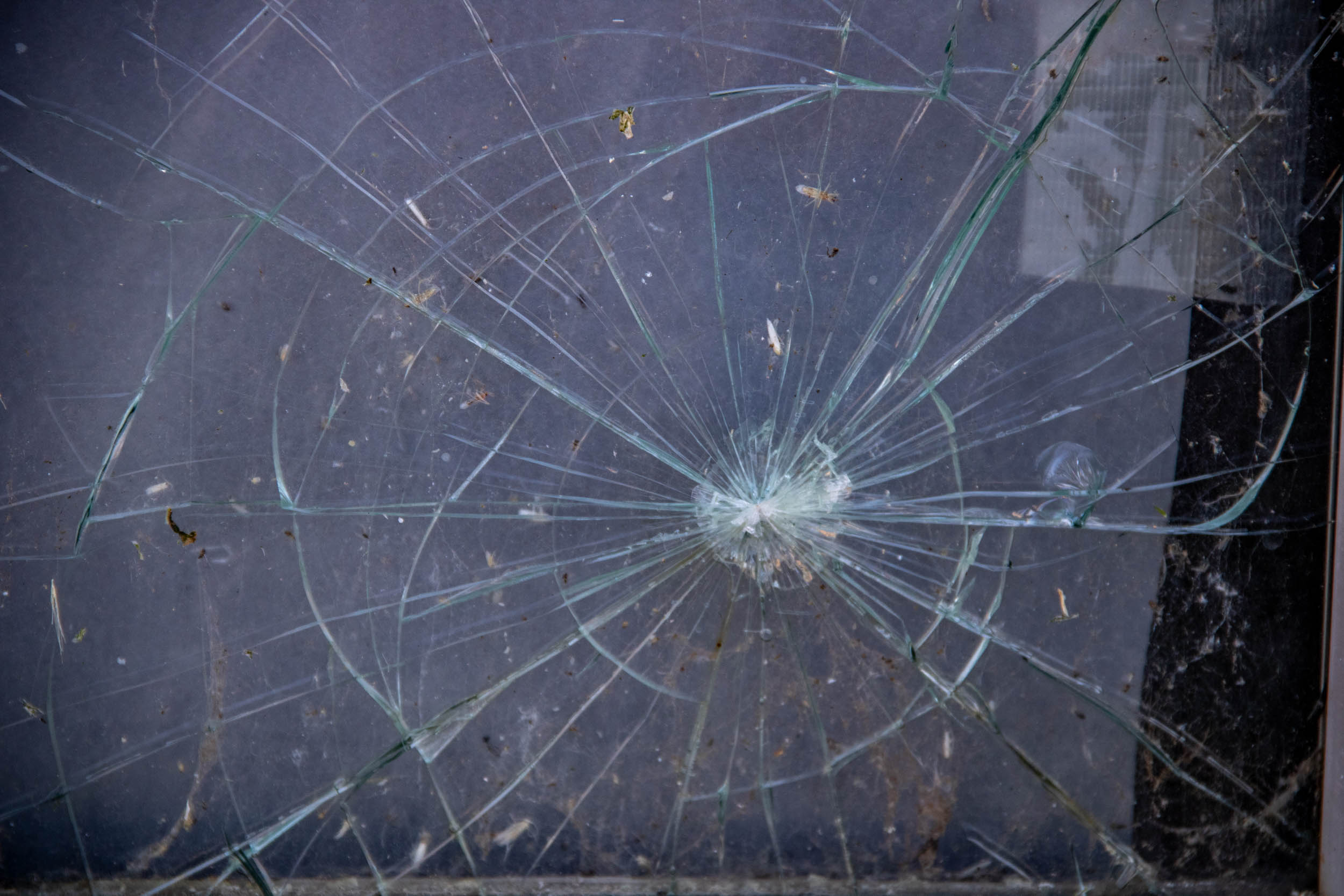 user avatar image for Maren