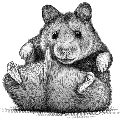 user avatar image for Berislav Lopac