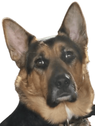 user avatar image for GGB