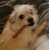 user avatar image for Sarah Buckley