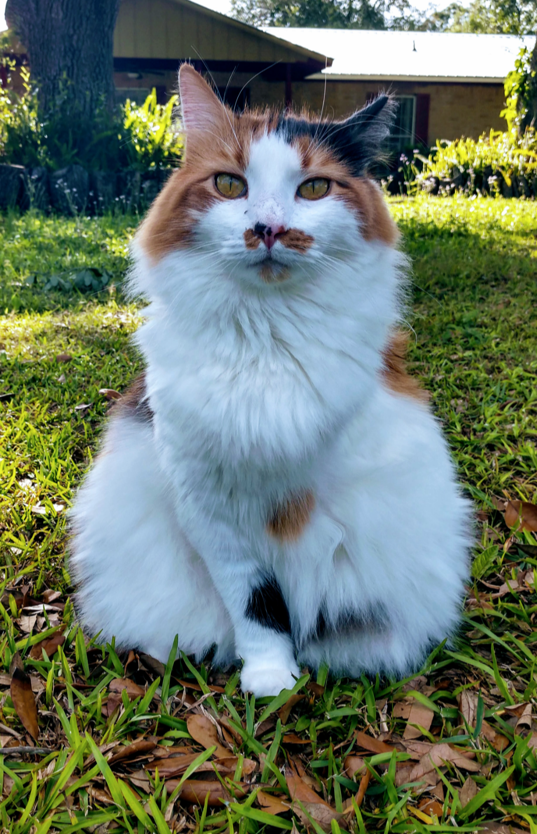 user avatar image for Mischa Johns