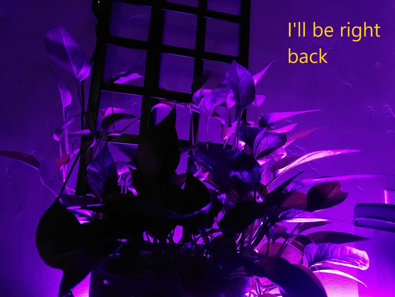 user avatar image for vaine87