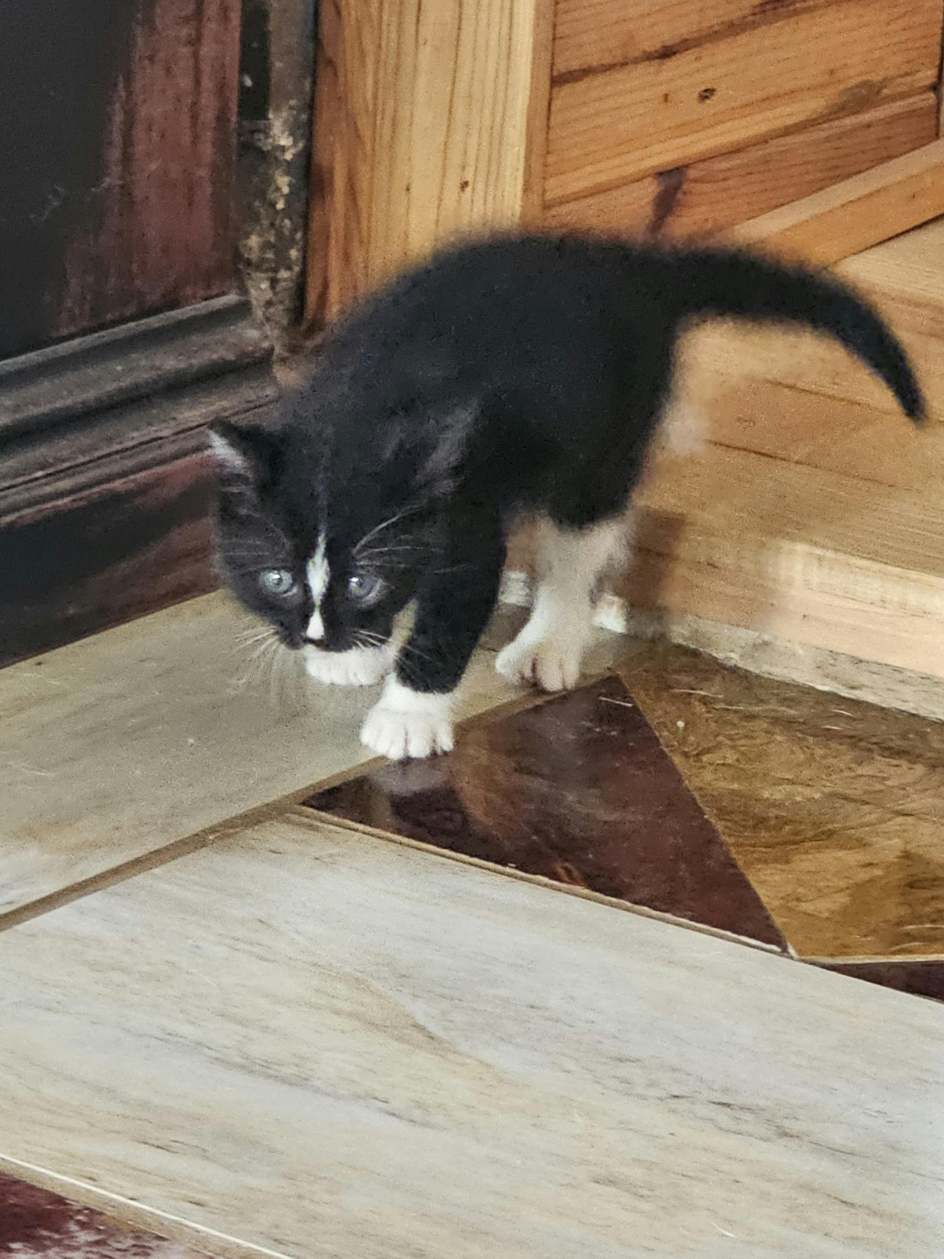 user avatar image for Seebass