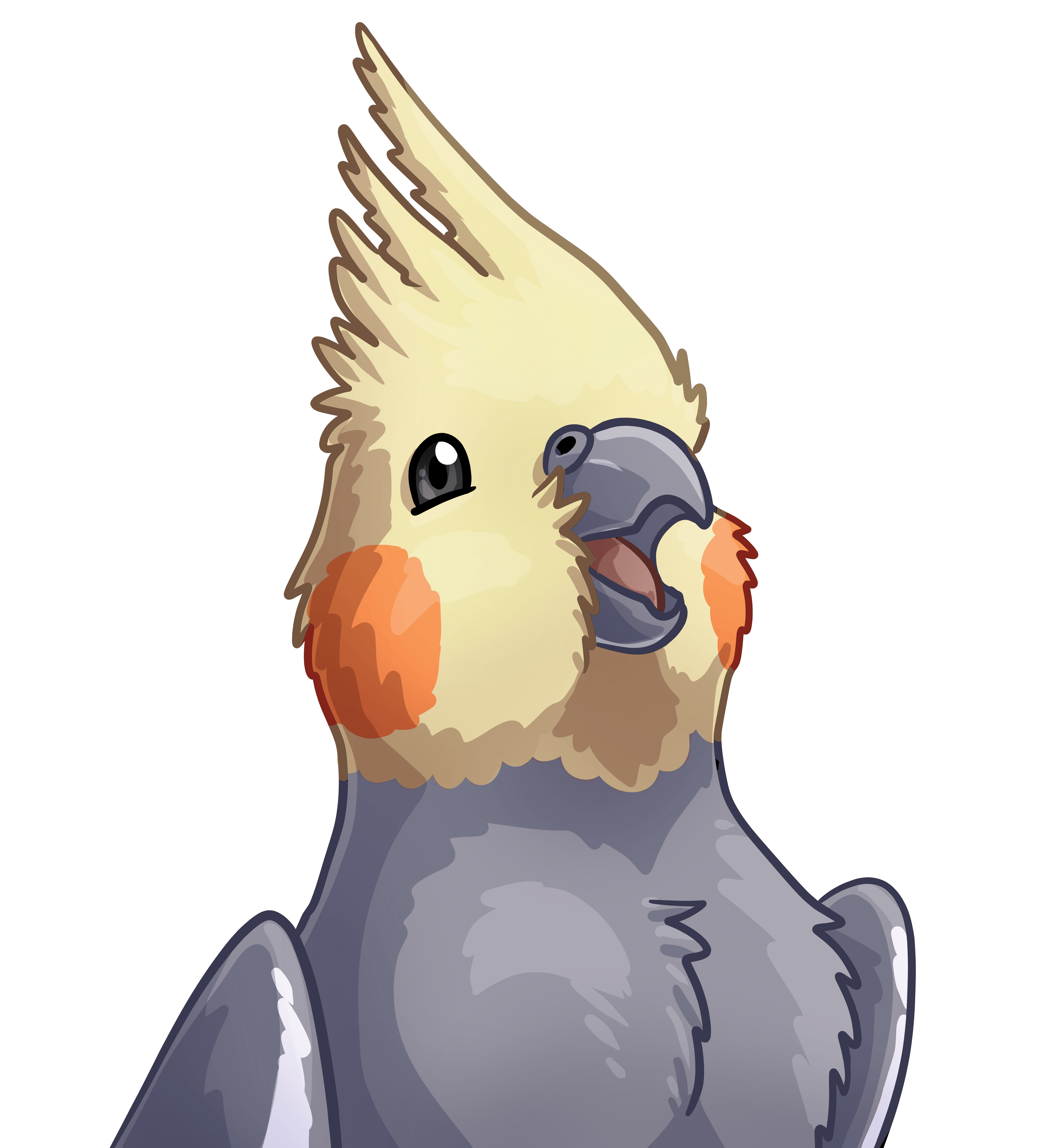 Birbs