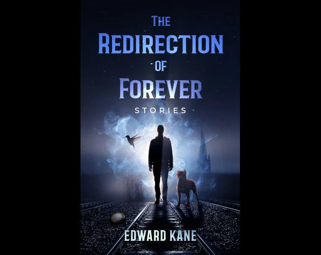 The Redirection of Forever paperback