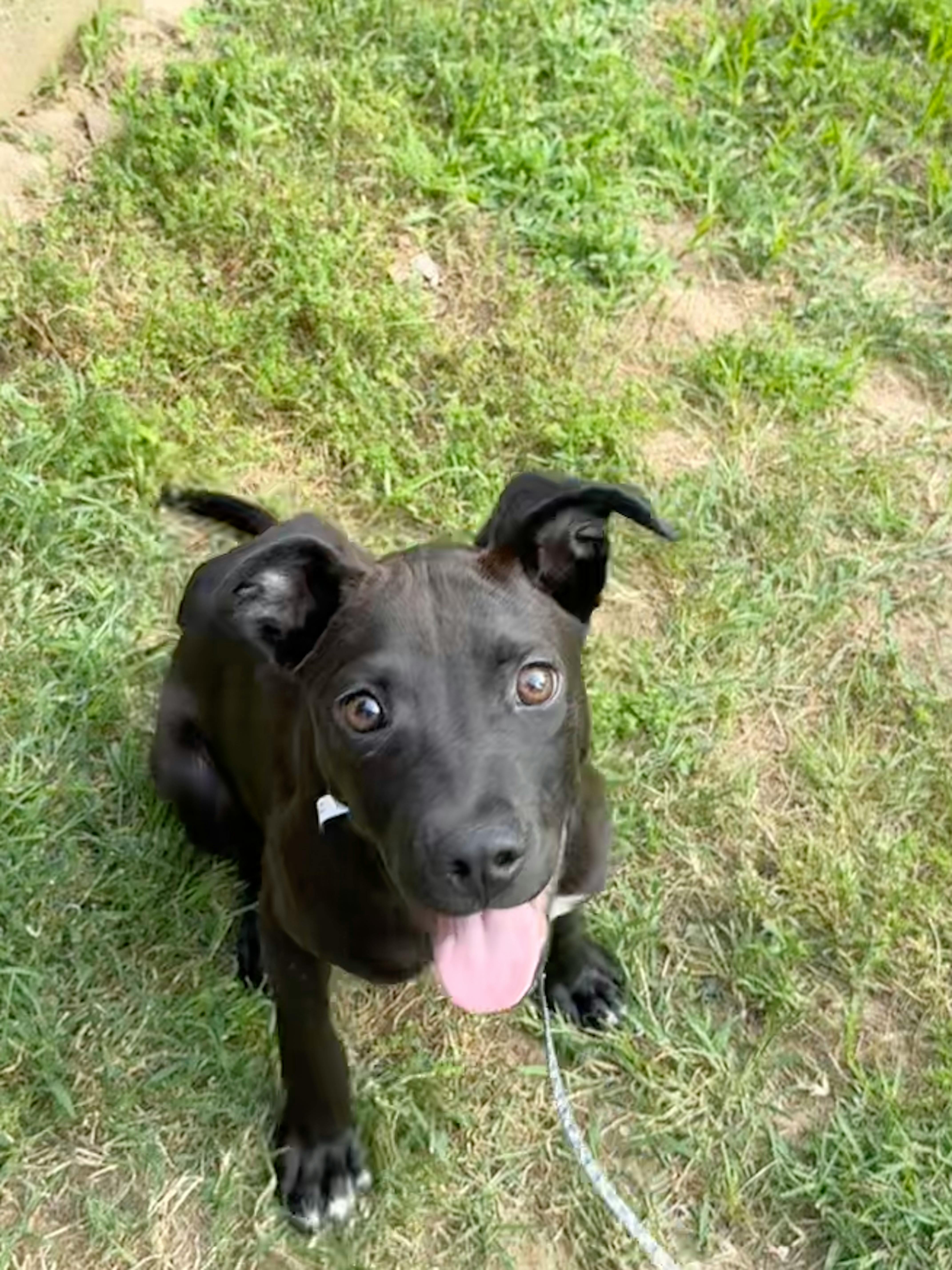 user avatar image for DMarrs