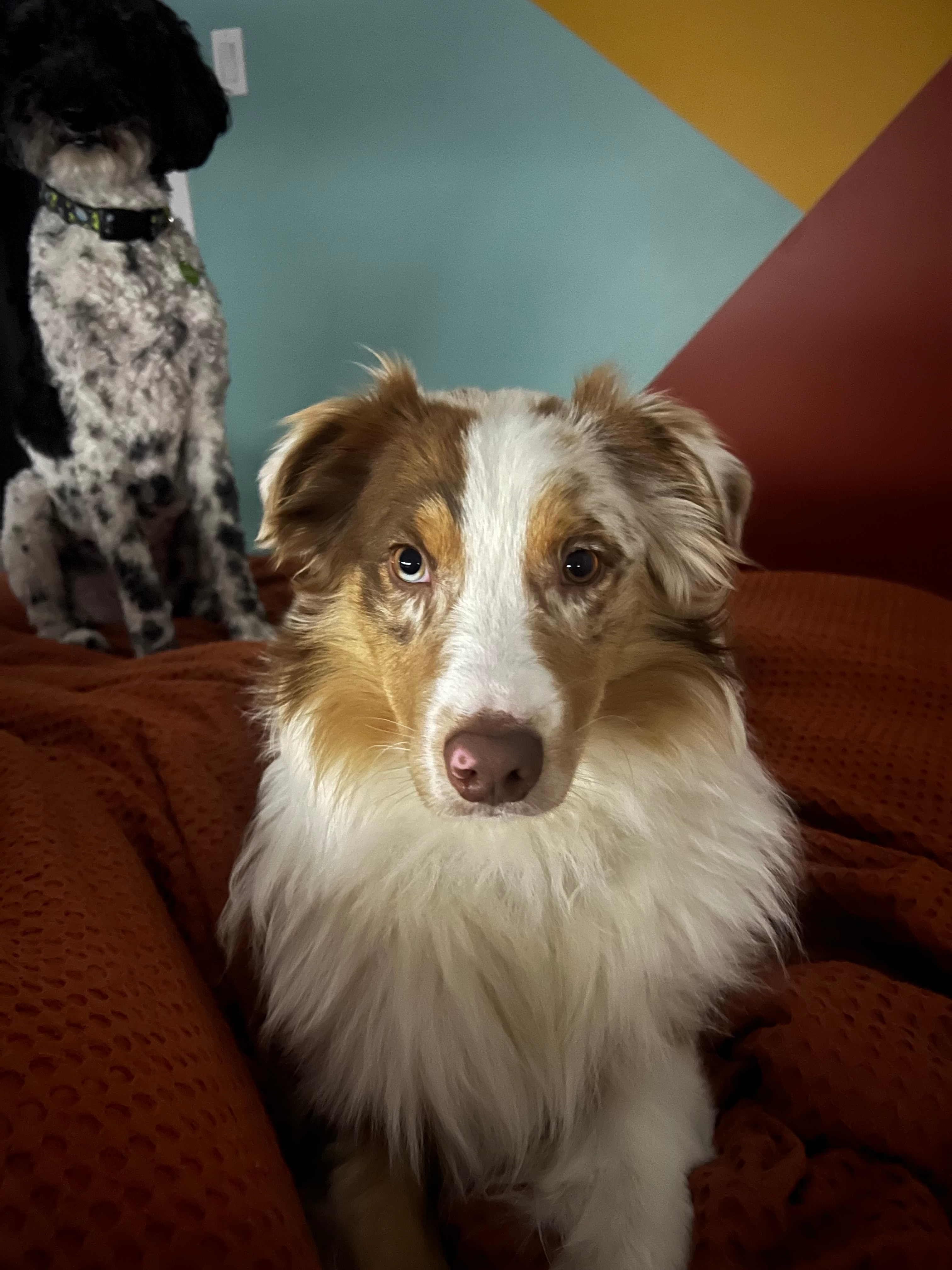 user avatar image for Jeremie