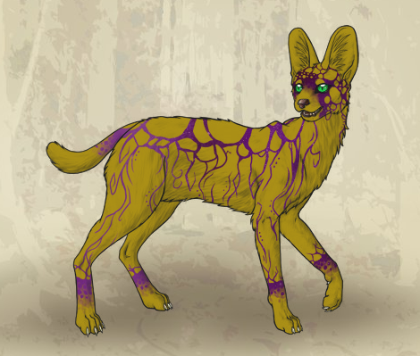 user avatar image for Chase