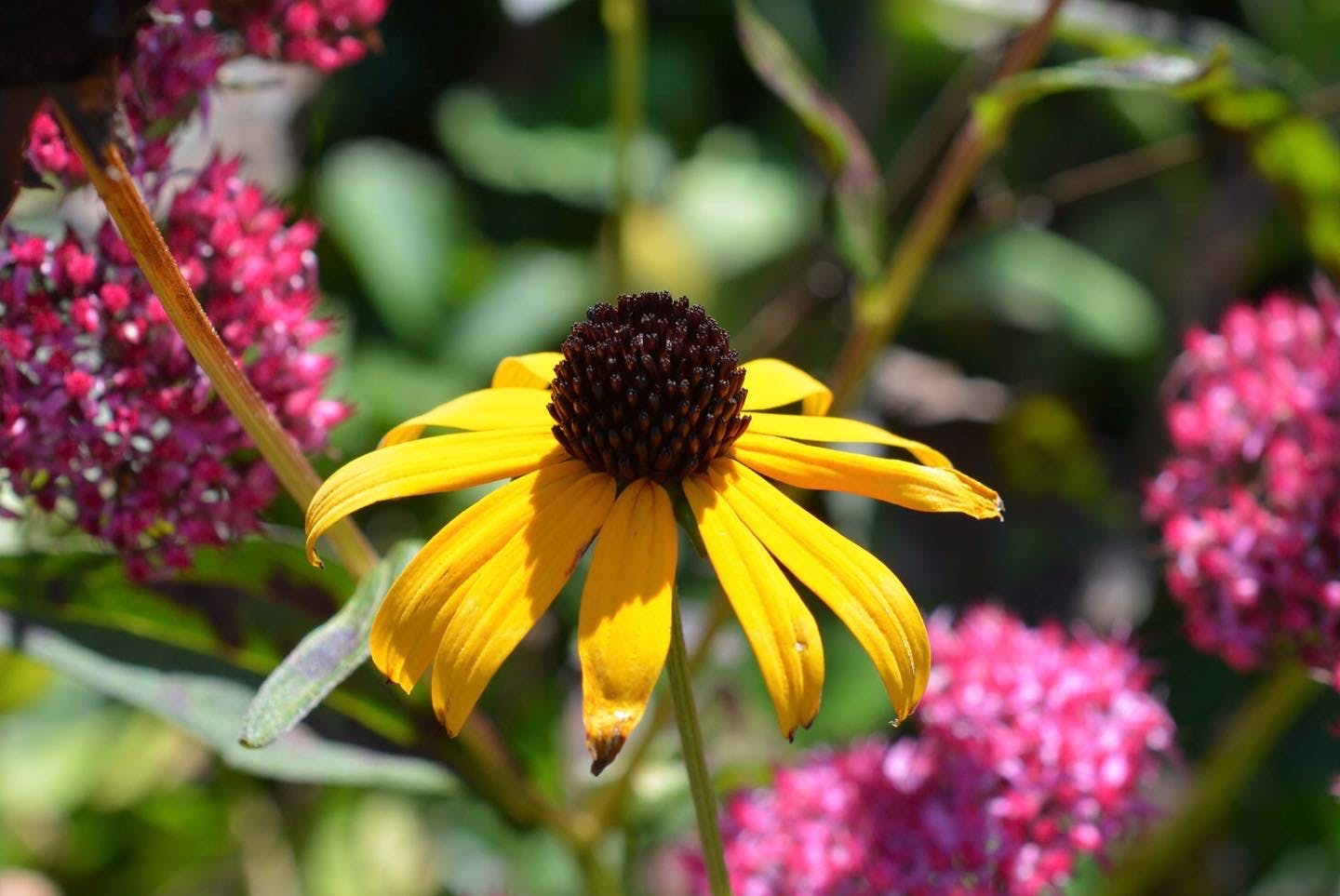 user avatar image for LindaS