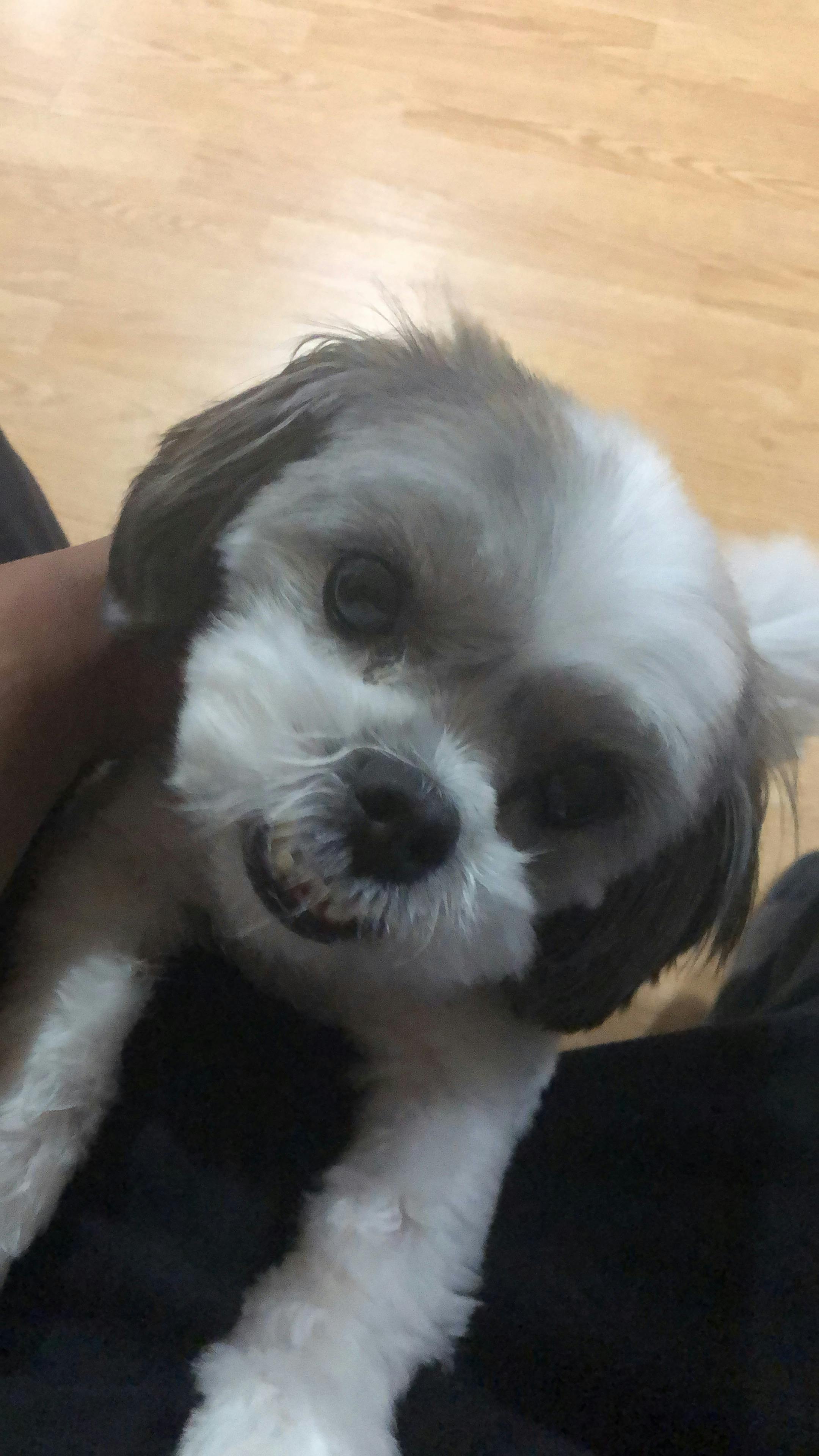 user avatar image for OJ Mercado