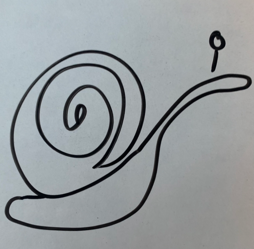 user avatar image for Spiralling Mushroom