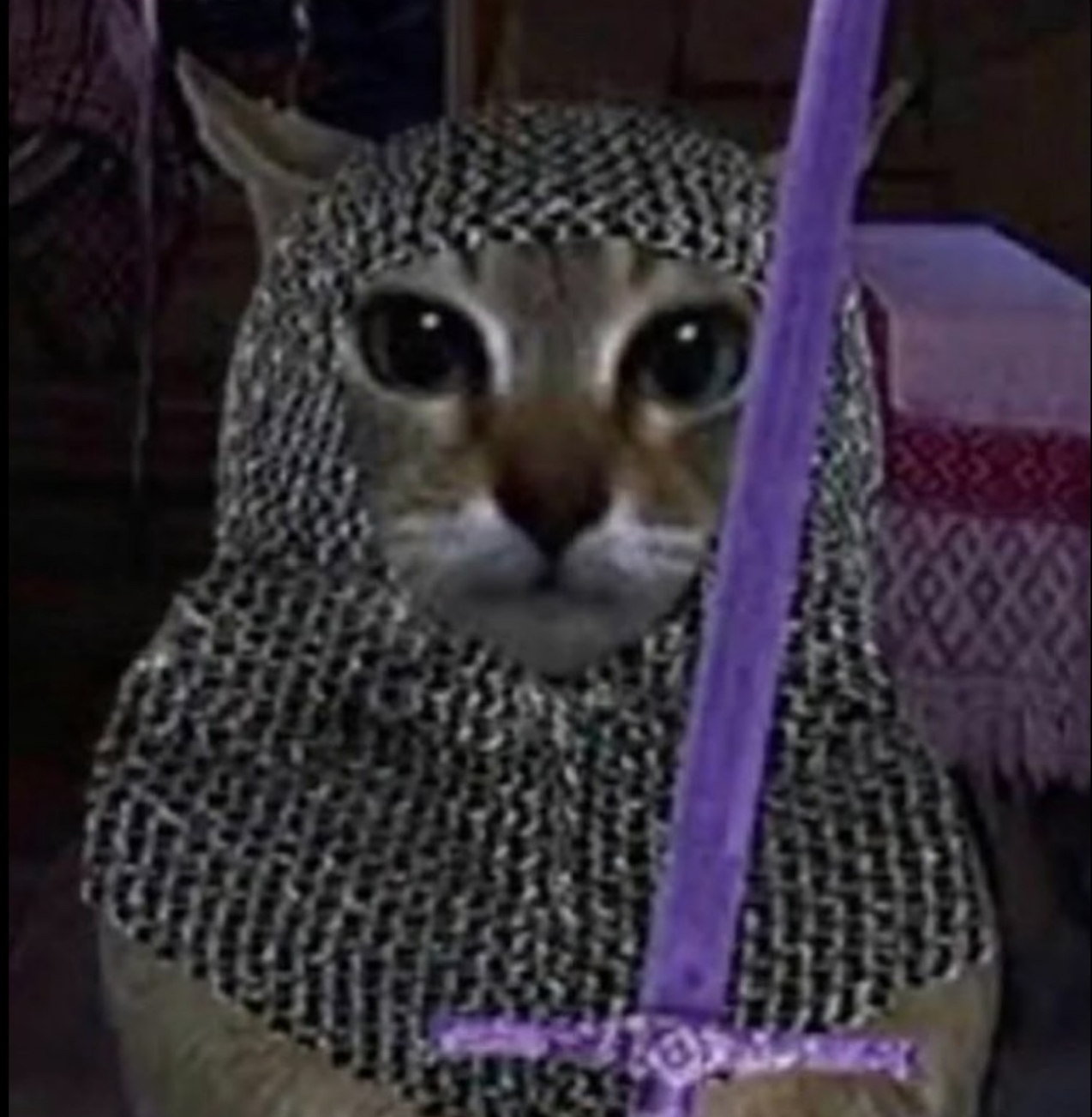 user avatar image for A Bear In Disguise
